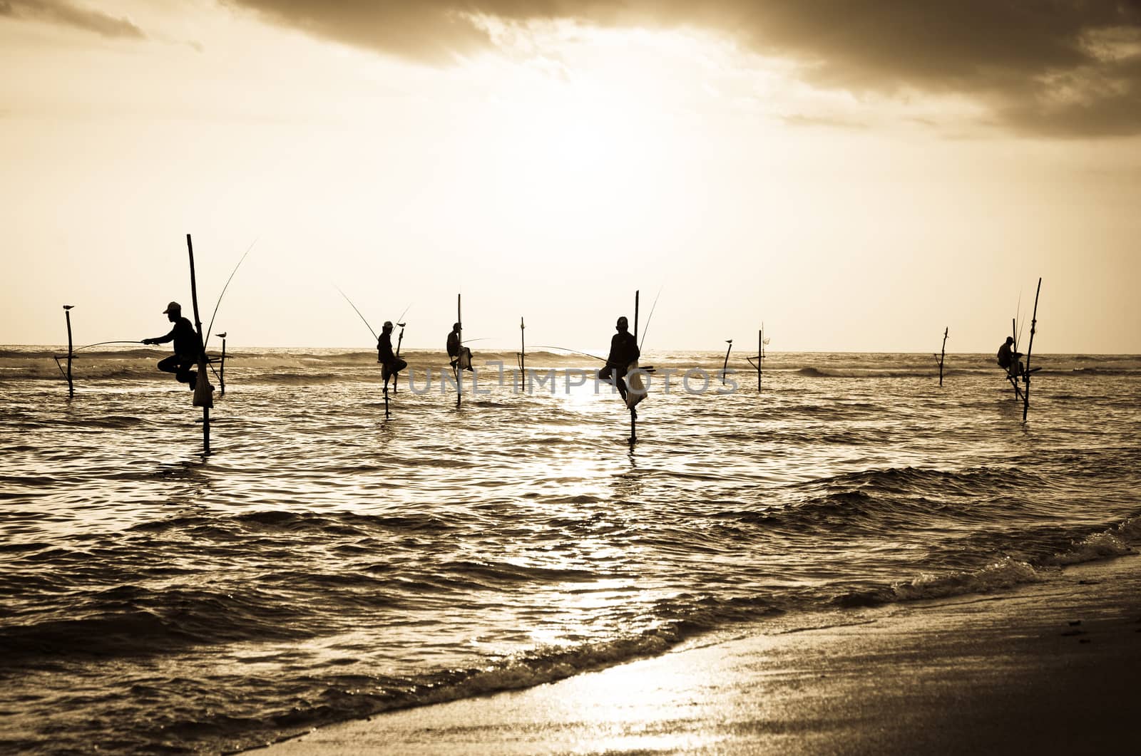 Silhouettes of the traditional stilt fishermen at the sunset near Galle in Sri Lanka