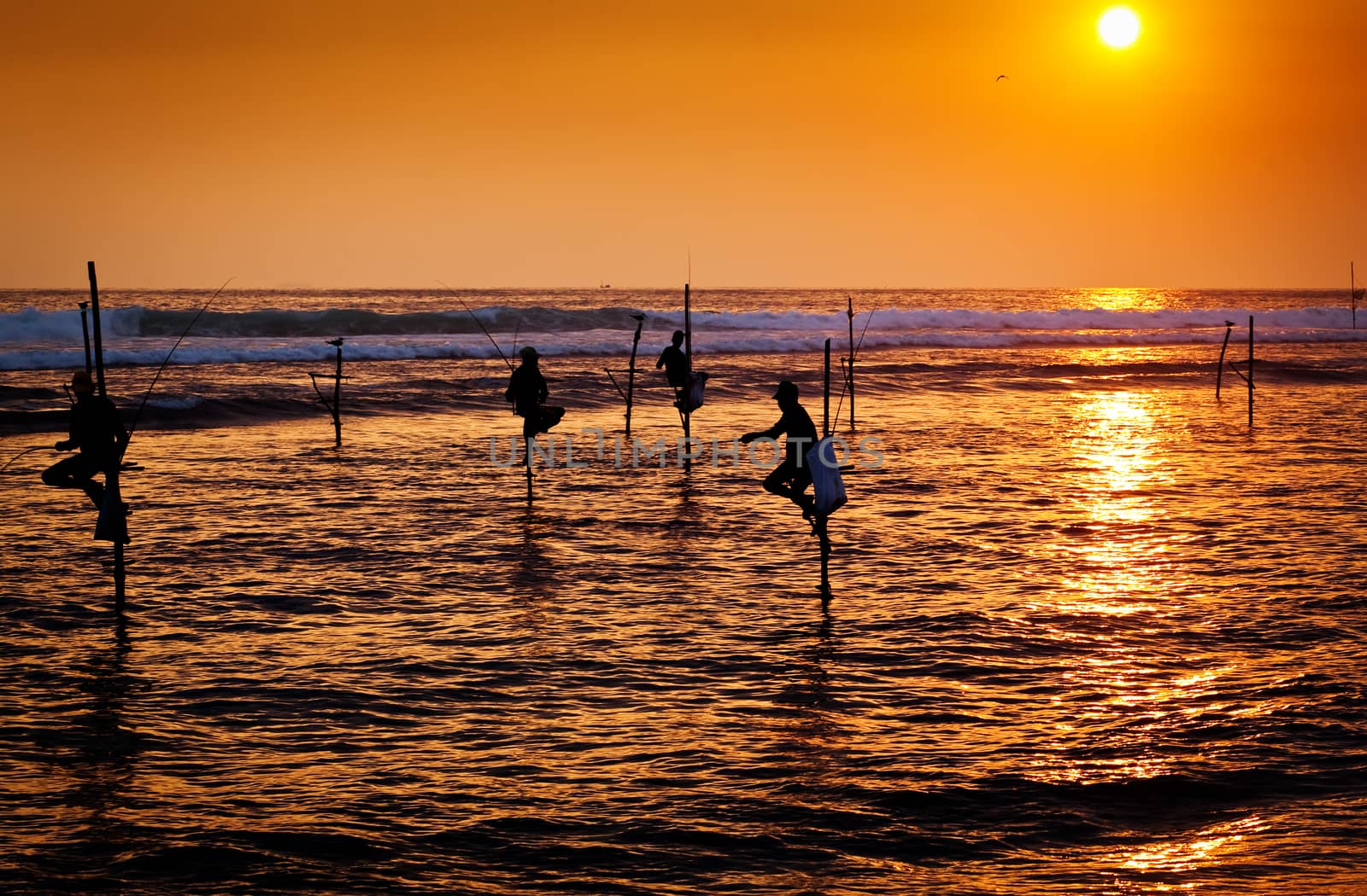 Silhouettes of the traditional stilt fishermen at the sunset near Galle in Sri Lanka