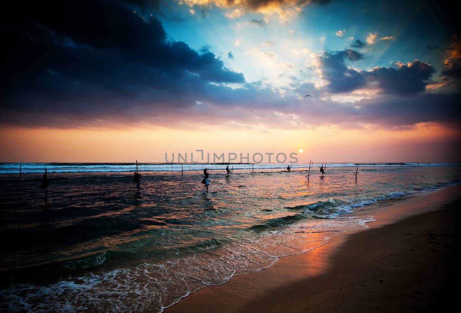 Silhouettes of the traditional stilt fishermen at the sunset near Galle in Sri Lanka