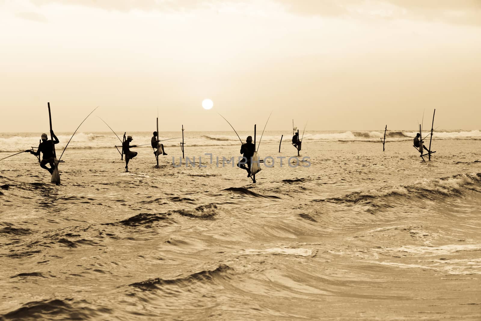 Silhouettes of the traditional stilt fishermen at the sunset near Galle in Sri Lanka