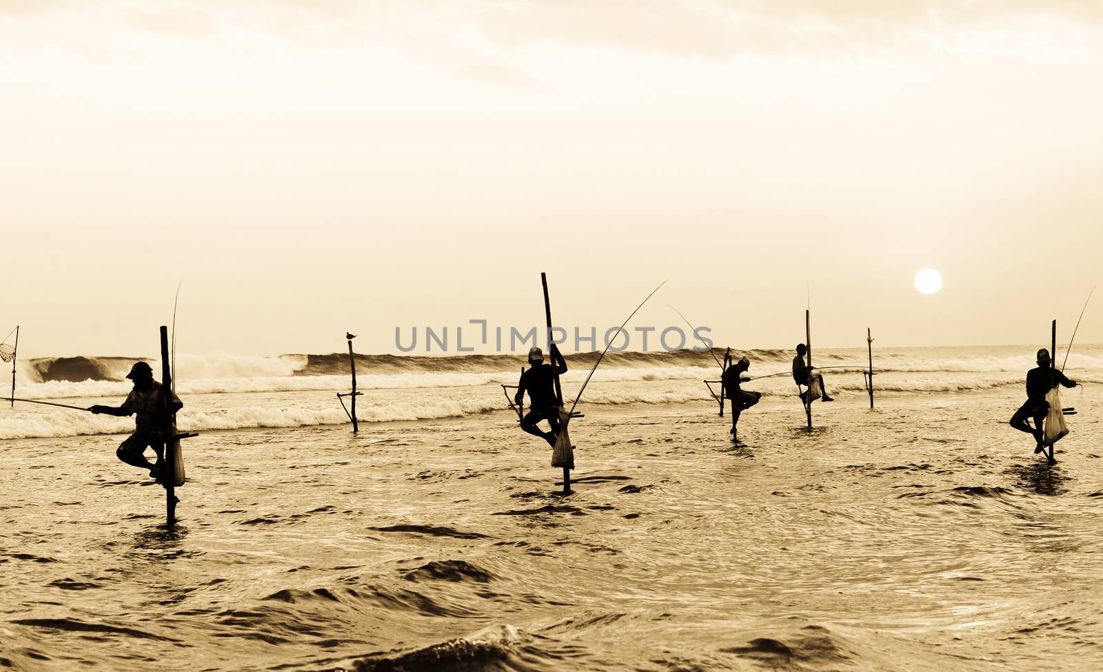 Silhouettes of the traditional stilt fishermen at the sunset near Galle in Sri Lanka