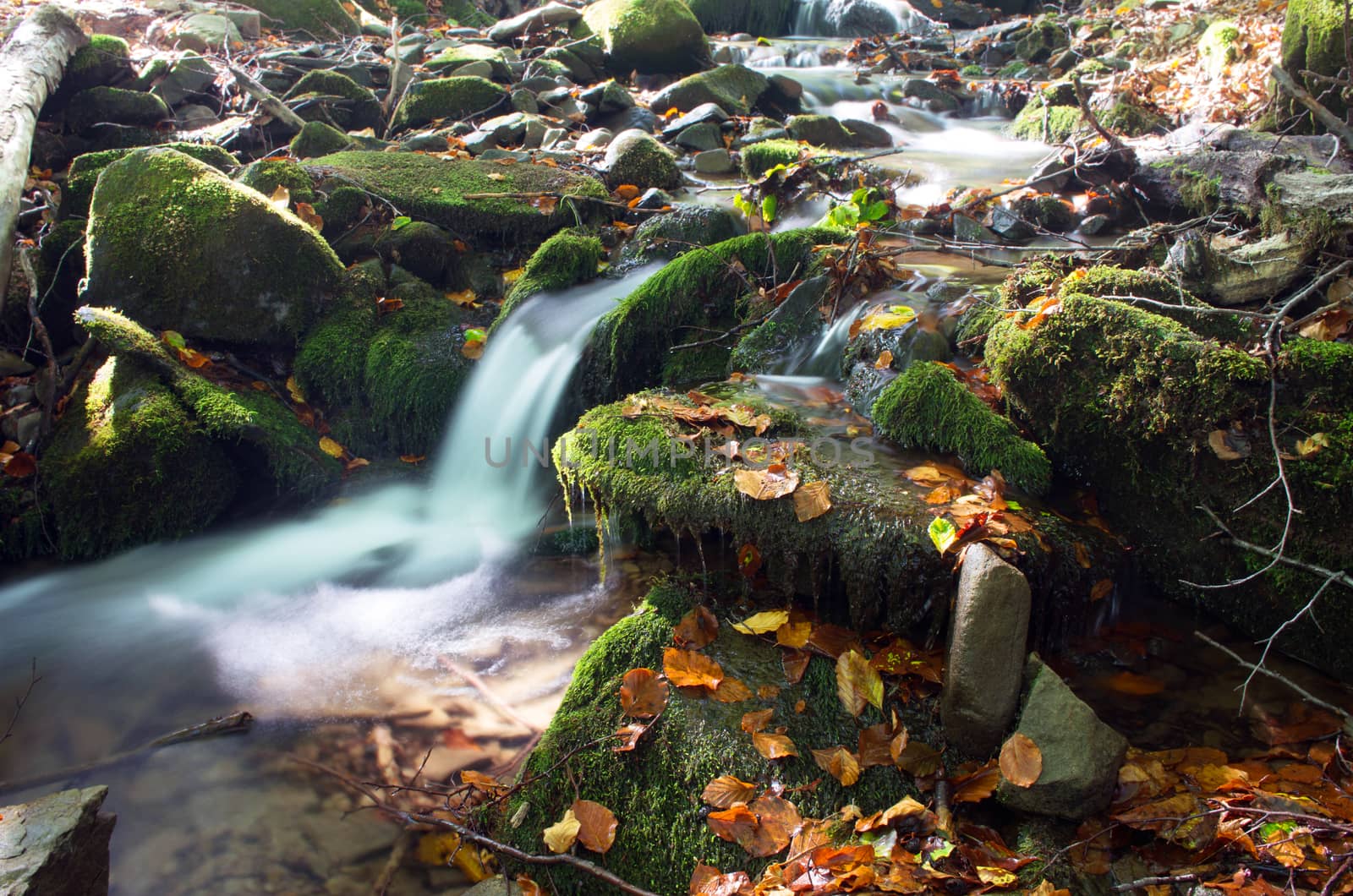 beautiful waterfall scene, ukraine carpathian shipot waterfall by dolnikow