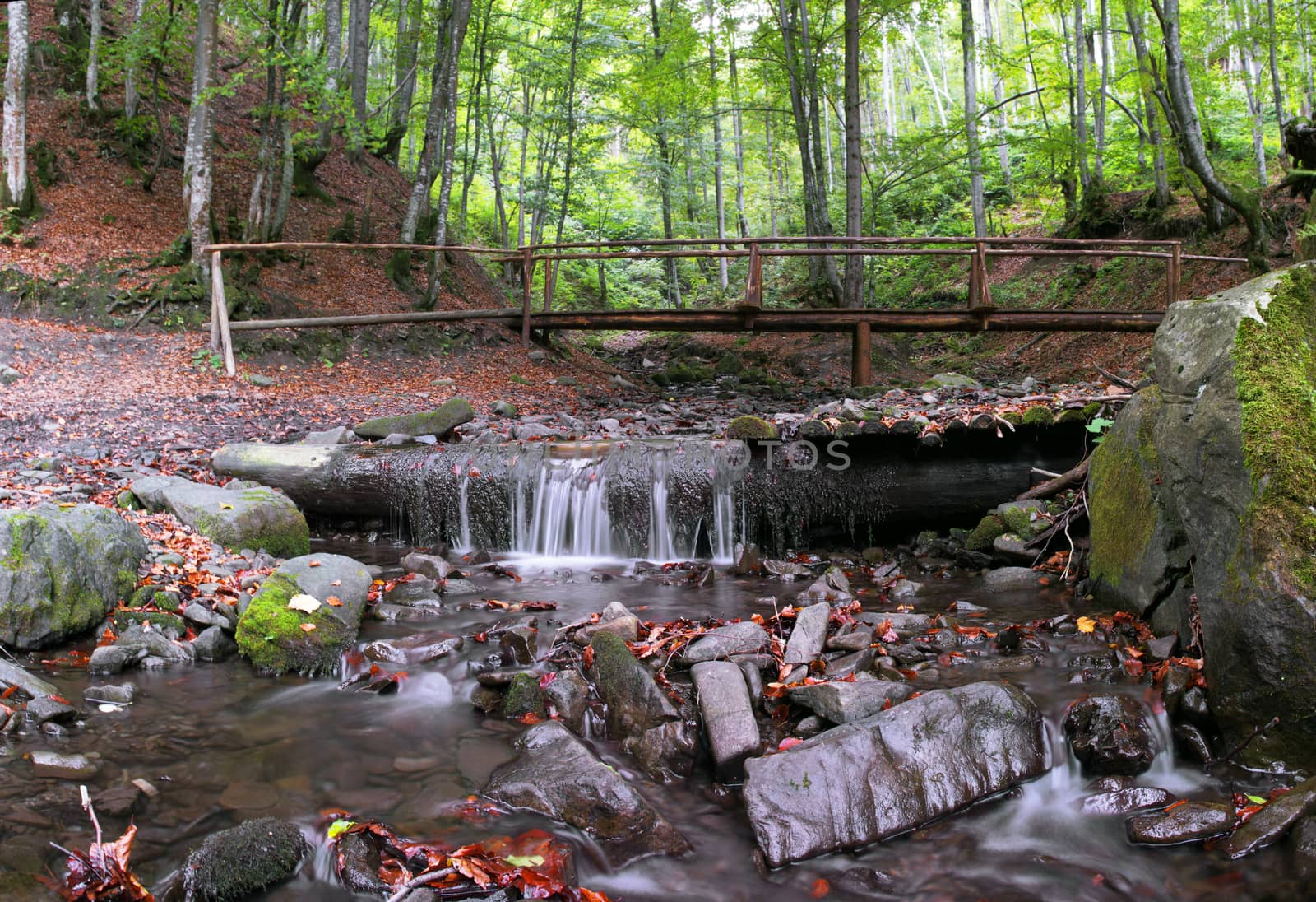 beautiful waterfall scene, ukraine carpathian shipot waterfall by dolnikow