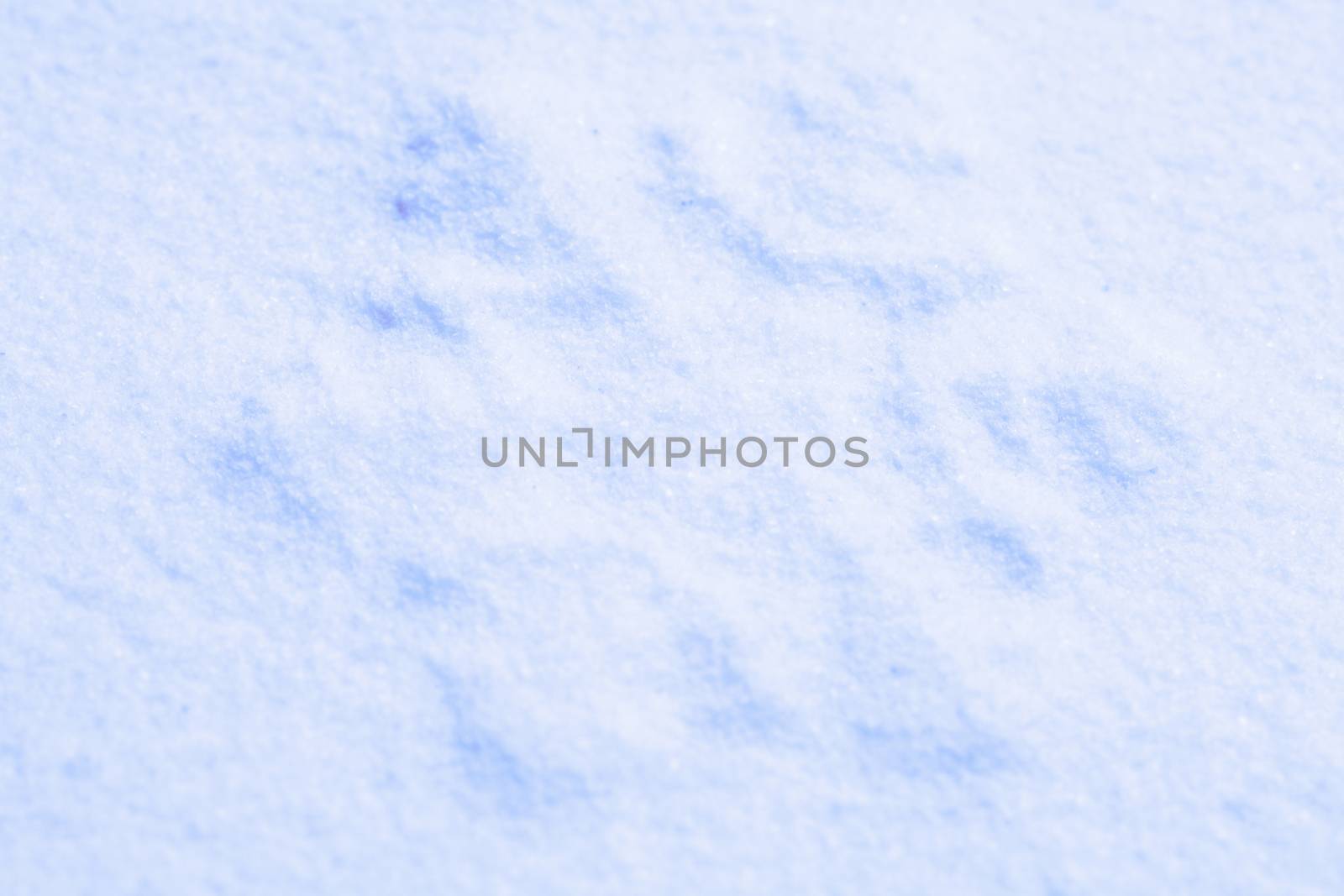 Photo blue snow and snowflakes