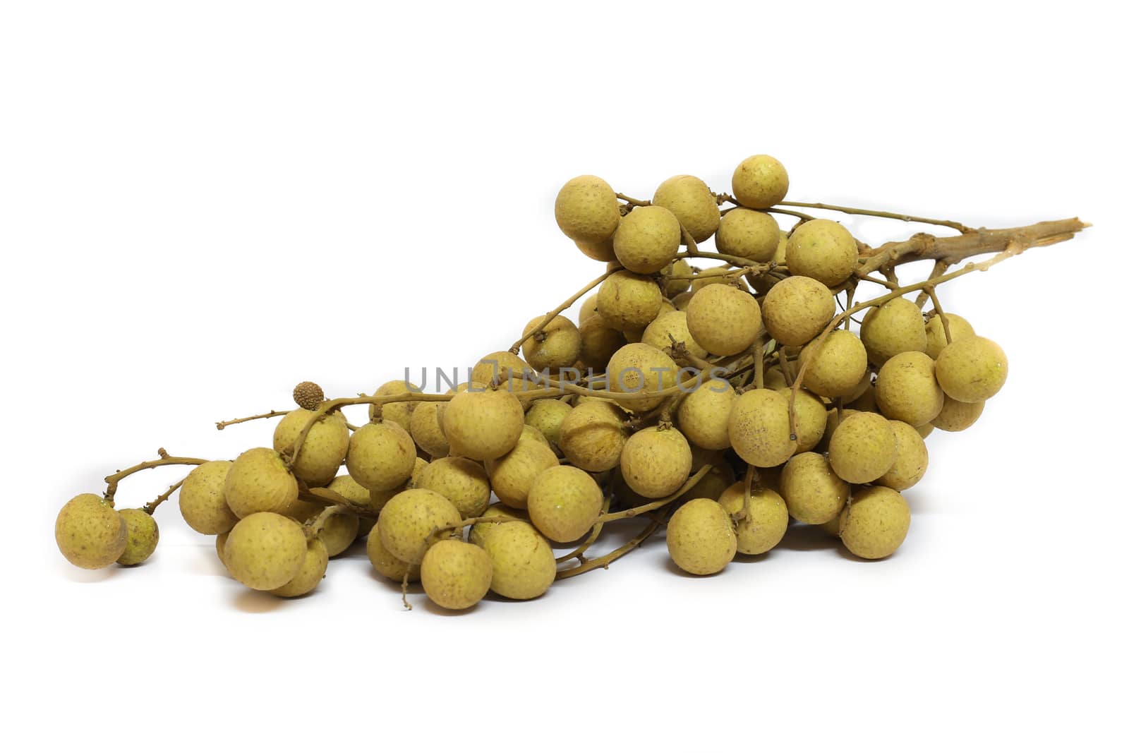 longan. fresh longan on white background