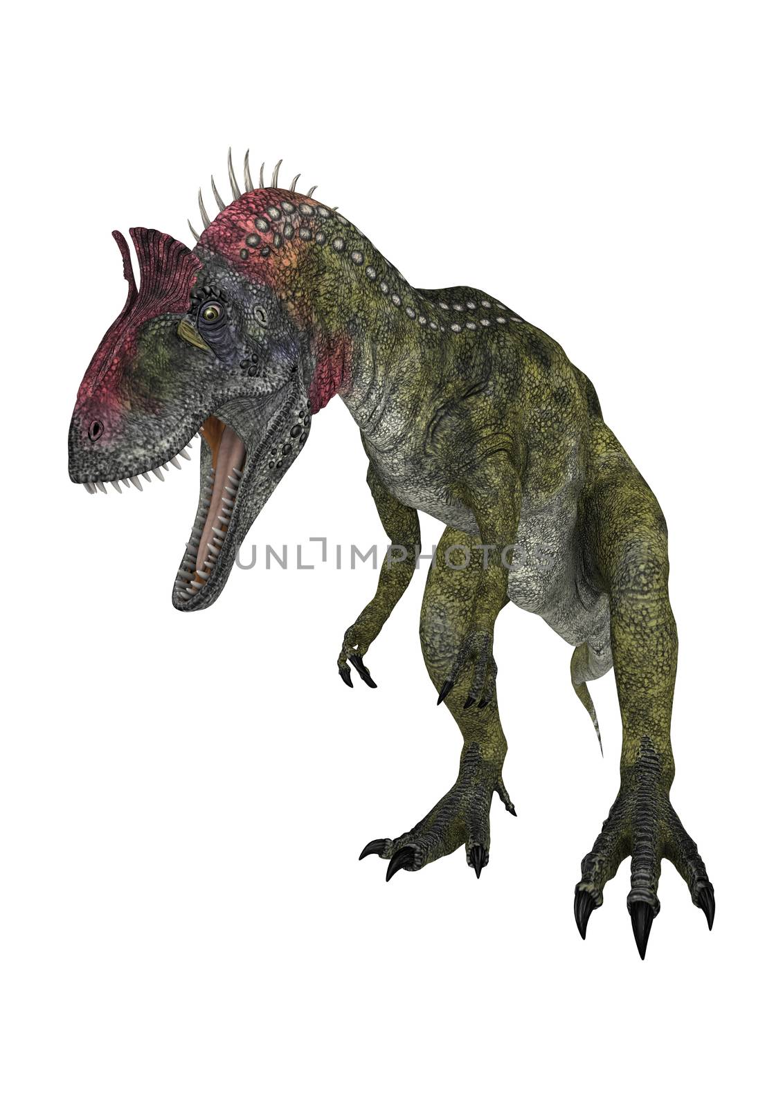 3D digital render of a dinosaur Cryolophosaurus isolated on white background