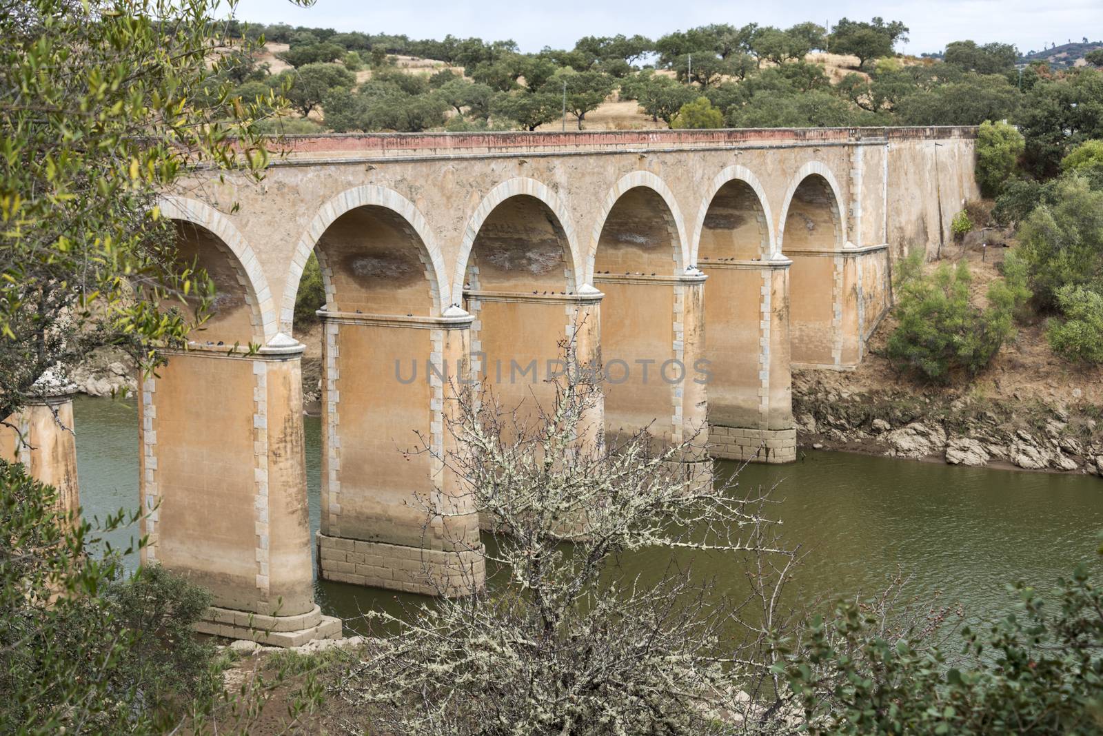 ponte de ardilla in portugal alentejo