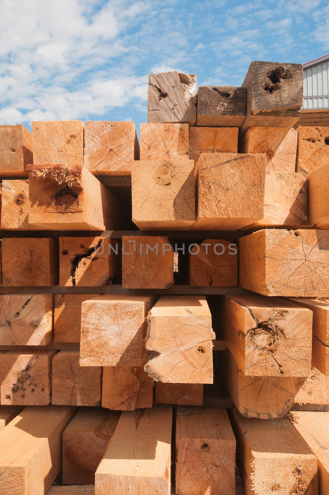 Detail of wood blocks stacked at lumber mill in Ontario, Canada