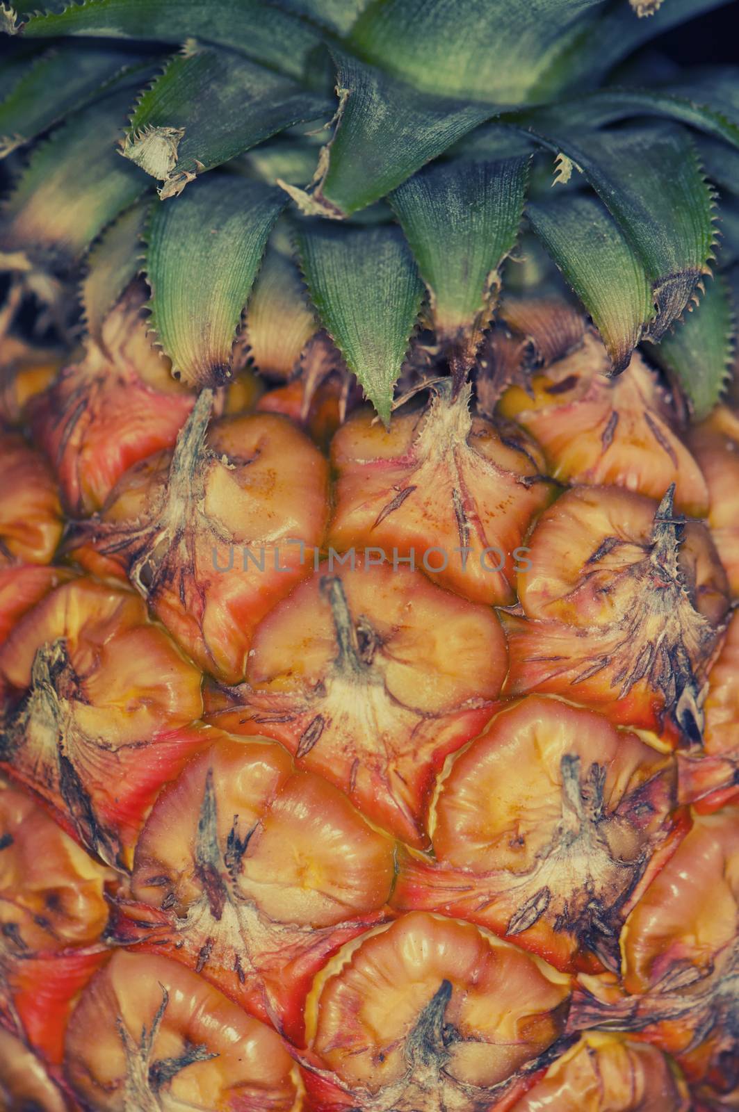 Close up detail of ripe pinneapple skin texture - abstract food background