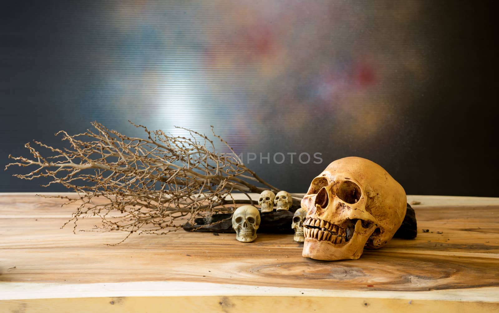 Pile of human skulls on a log with branches into the background