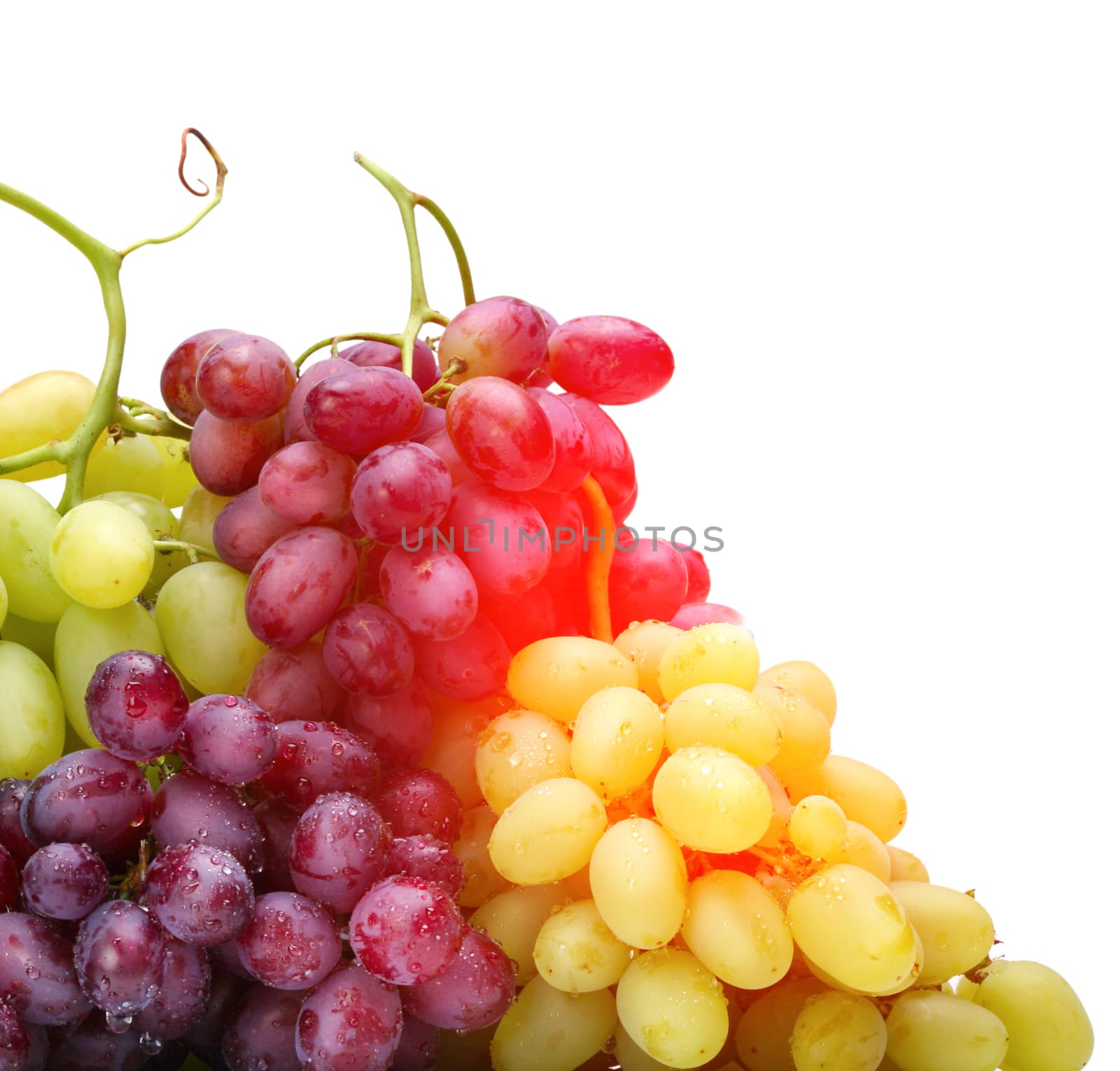 fresh green and rose grapes by rudchenko
