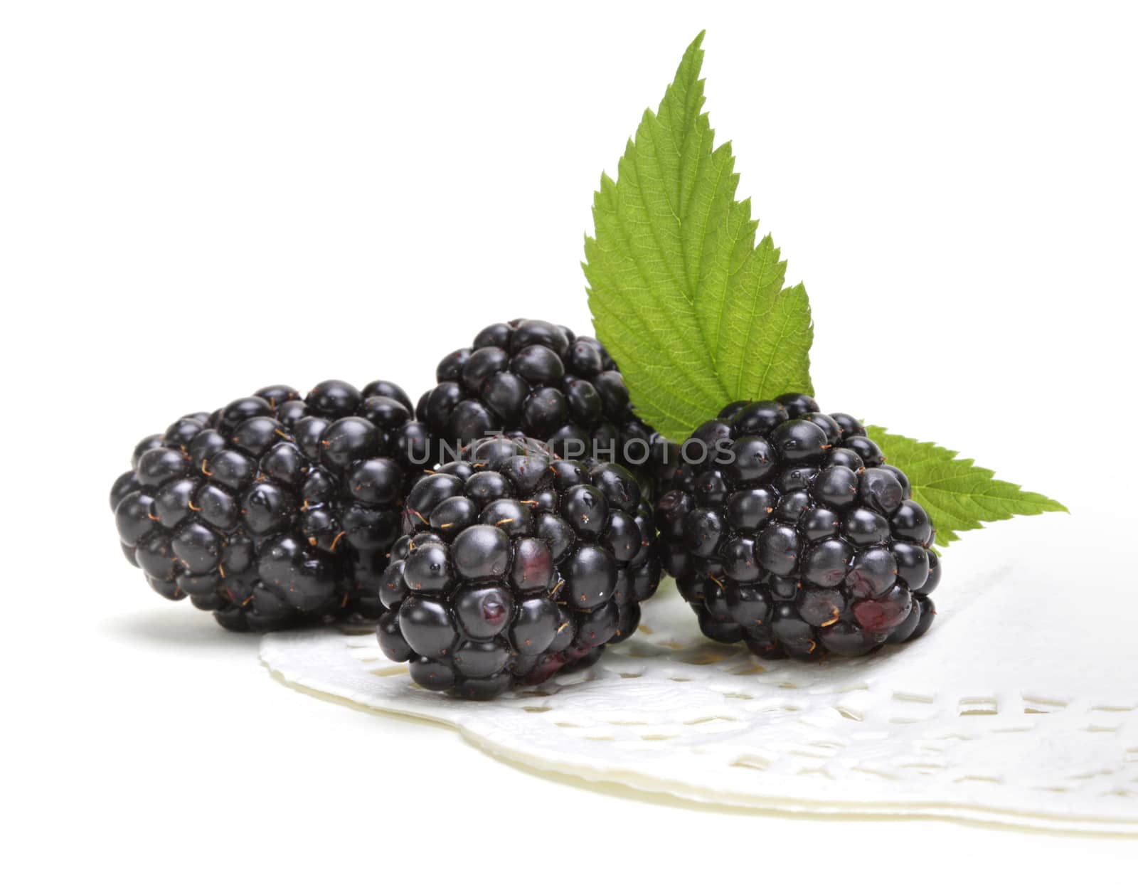 Fresh blackberry with leaf  by rudchenko