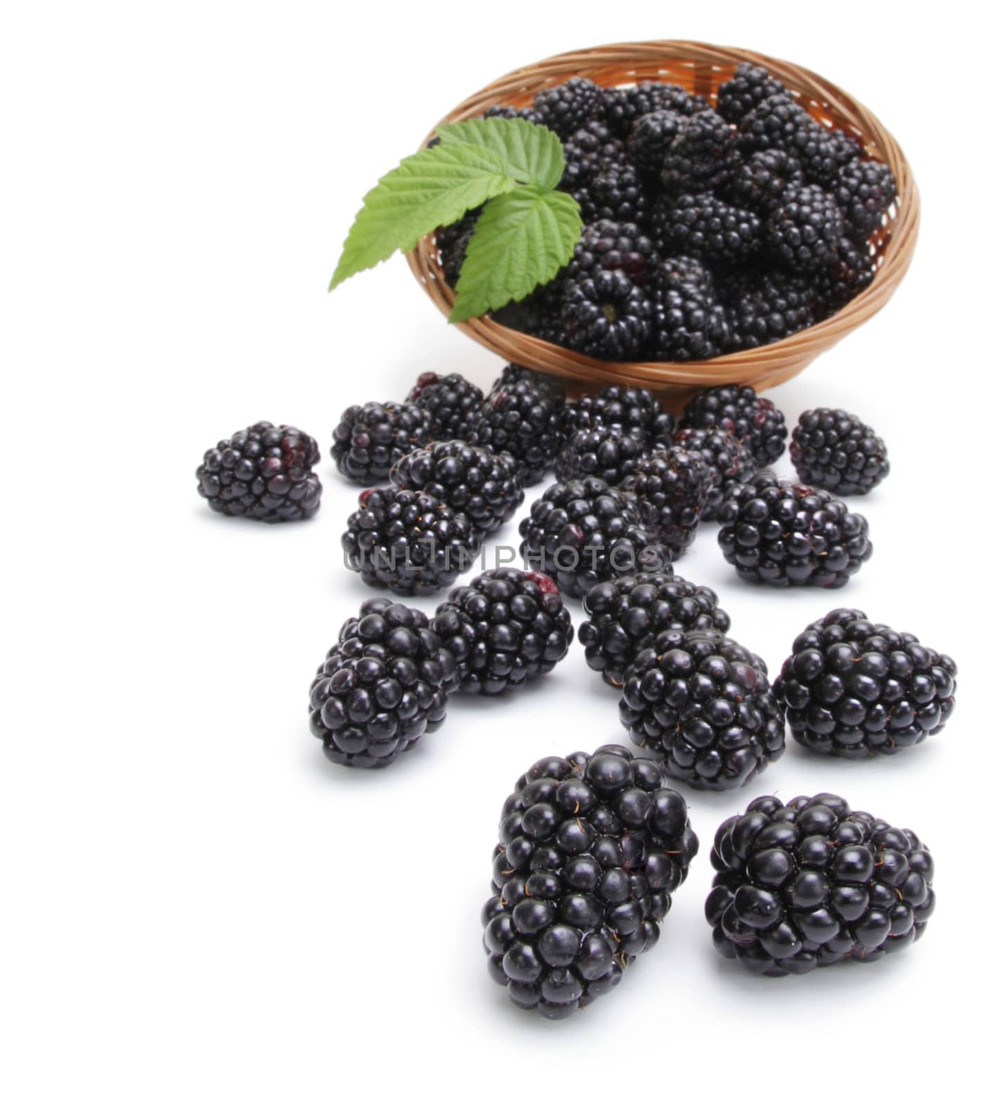 Fresh blackberry with leaf in basket by rudchenko