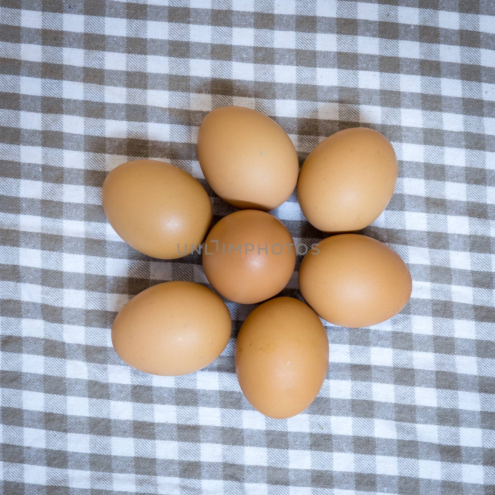egg group on cloth plaid
