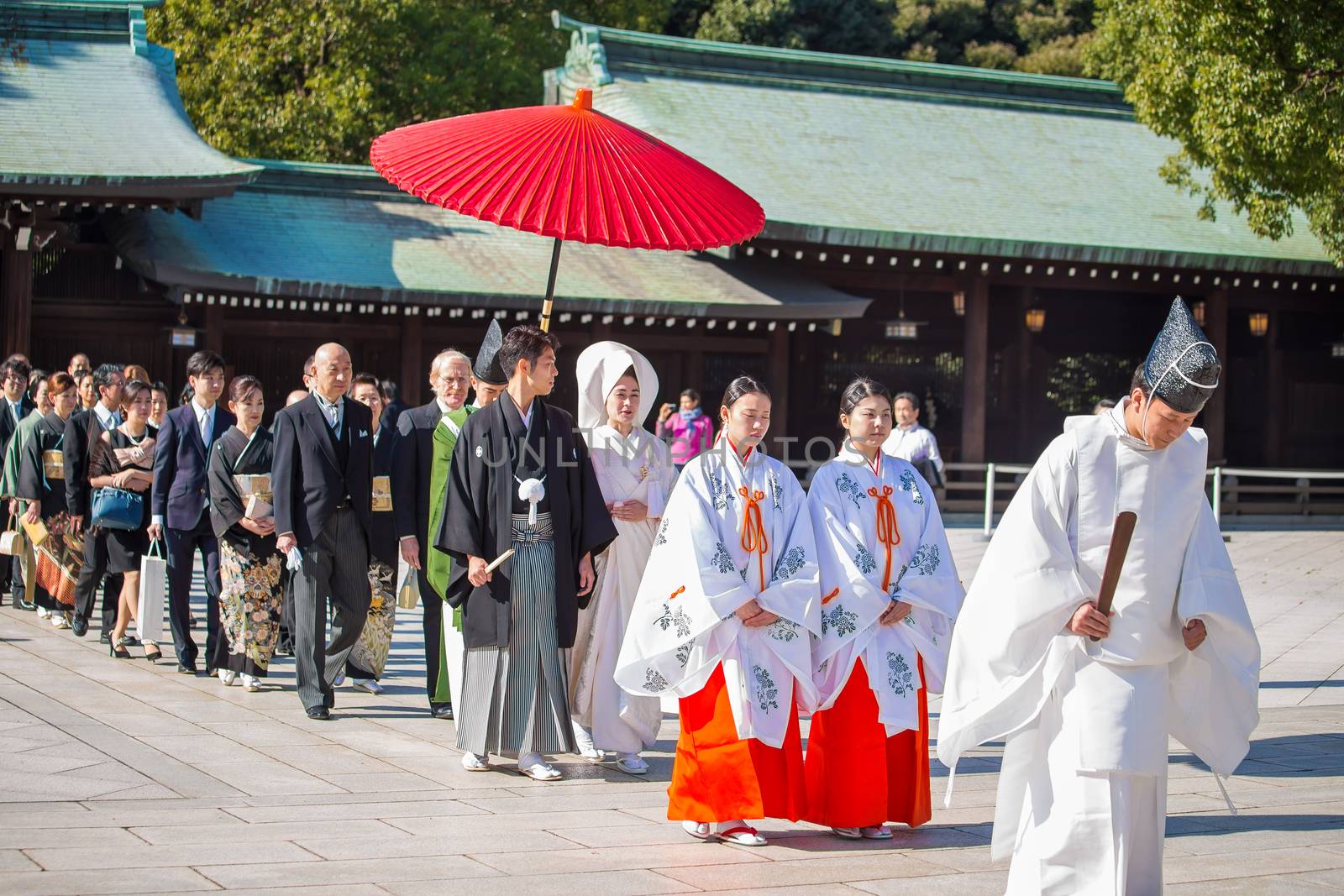 HARAJUKU,TOKYO – NOVEMBER 21: Japanese wedding Celebration of a typical wedding ceremony on NOVEMBER 21,2014 in Meiji Jingu Shrine Harajuku Tokyo, Japan.