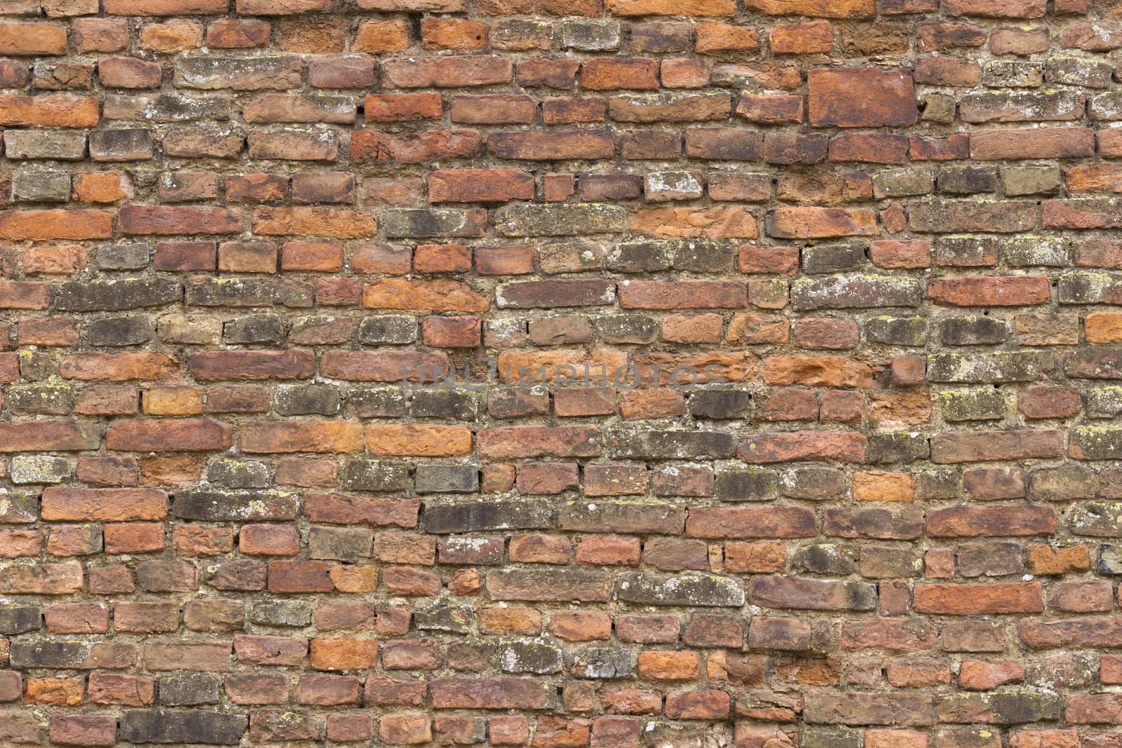 Old brick wall