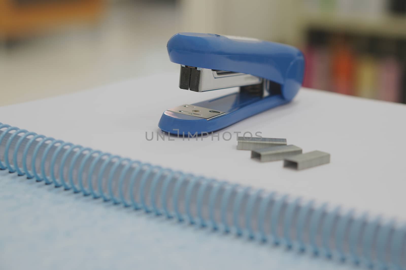 Blue stapler and staple at office by ninun