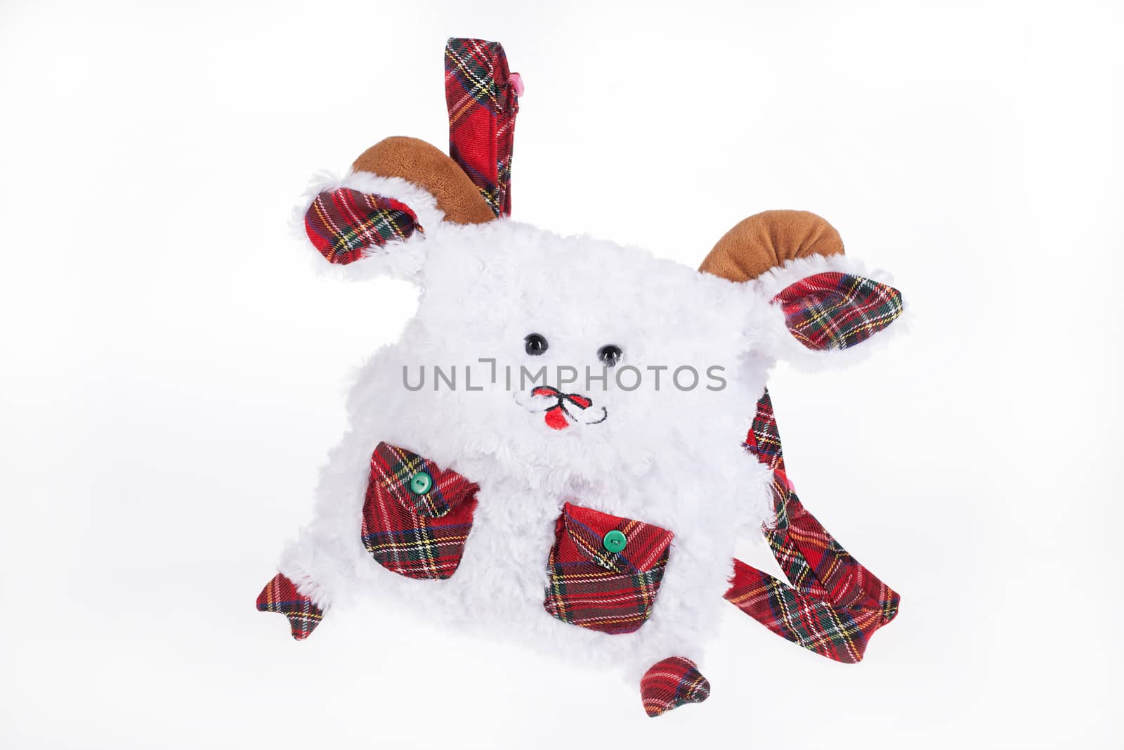 Toy on isolated studio background