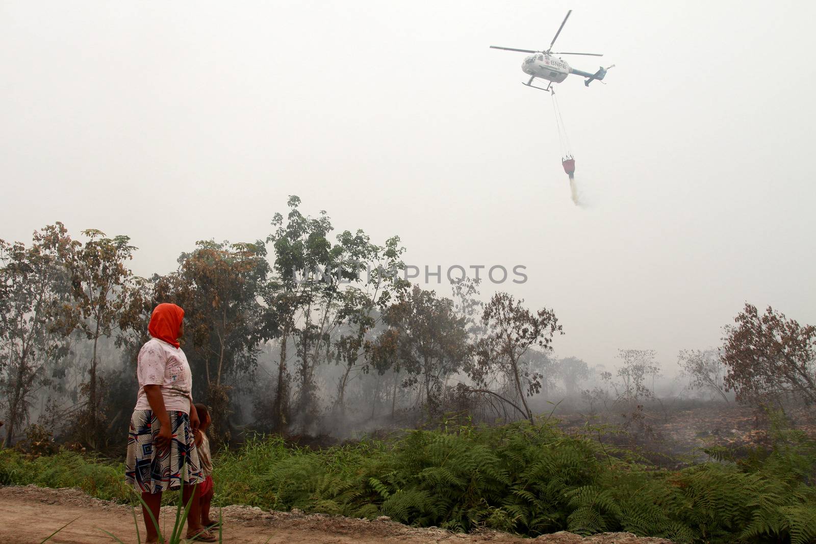  INDONESIA, Kubu Raya: An helicopter is helping to extinguish a fire at Kubu Raya district, in West Kalimantan province, on October 21, 2015. Indonesia launched its biggest operation ever to combat fires blanketing Southeast Asia in haze, an official said, with dozens of planes and thousands of troops battling the widespread blazes. 	