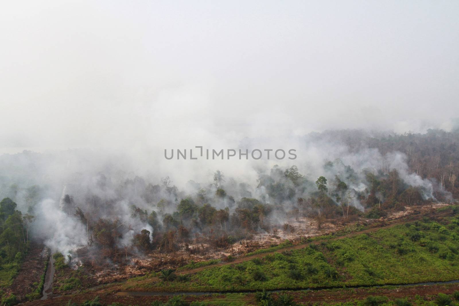  INDONESIA, Kubu Raya: Thick smoke rises up from the fire spot at Kubu Raya district, in West Kalimantan province, on October 21, 2015. Indonesia launched its biggest operation ever to combat fires blanketing Southeast Asia in haze, an official said, with dozens of planes and thousands of troops battling the widespread blazes. 	