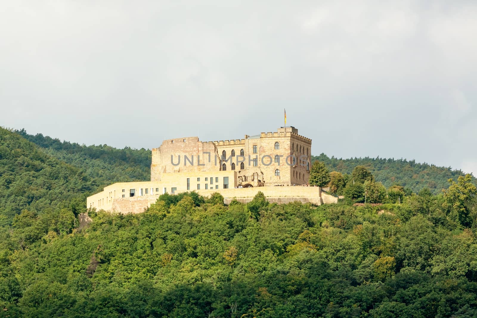 Castle Hambacher Schloss surrounded by forest