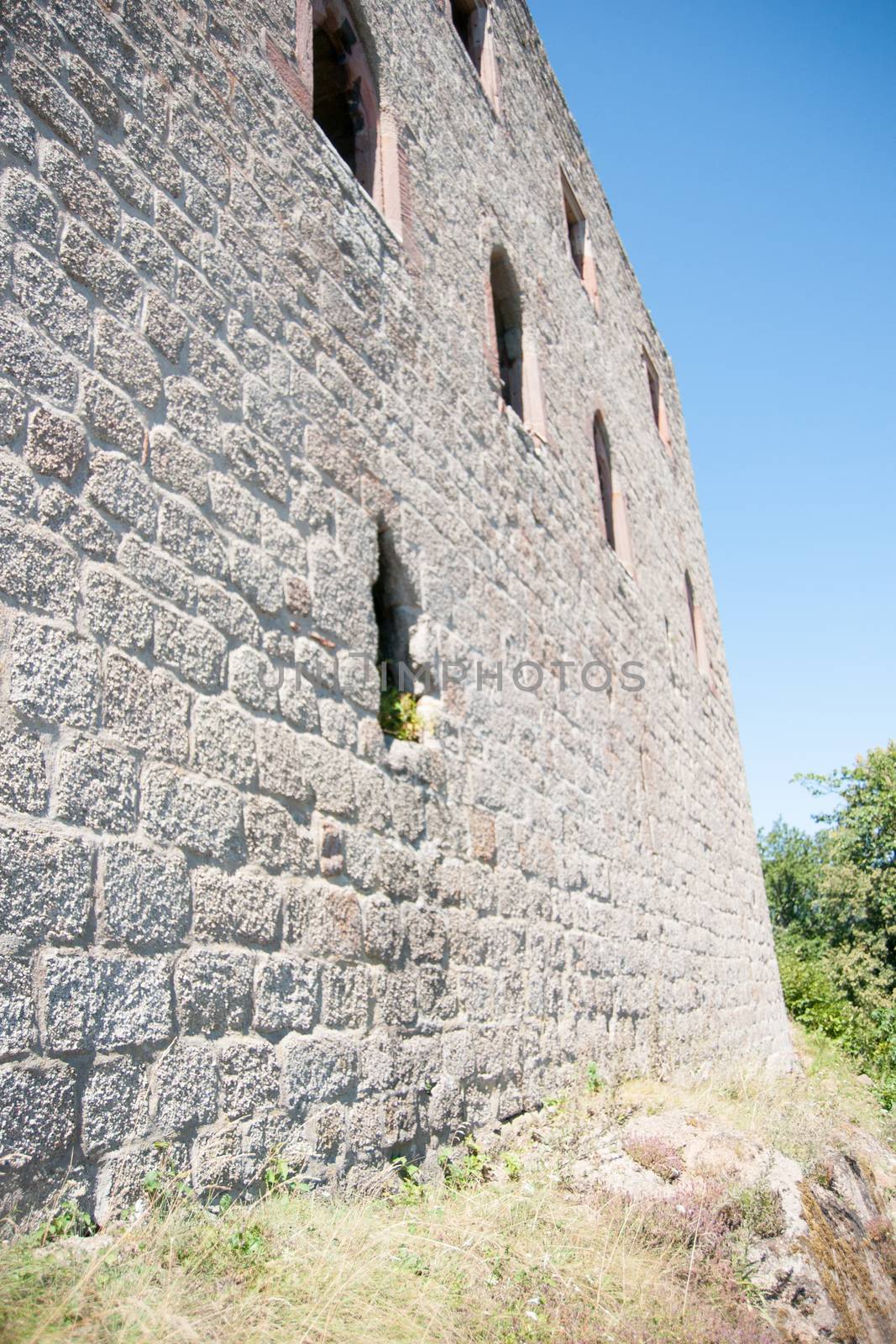 Castle ruins in Alsace during vacation of europe tourism