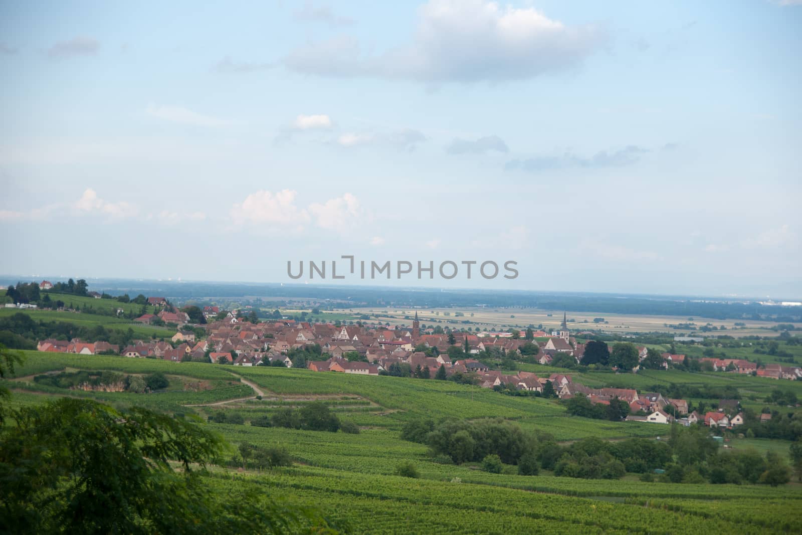 Hiking in Alsace with vinewyard views in France vacation