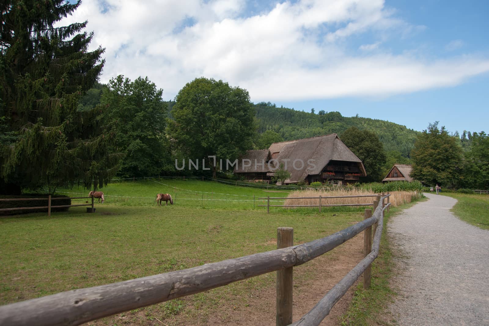 schwarzwald forest villages landscape in germany tourism