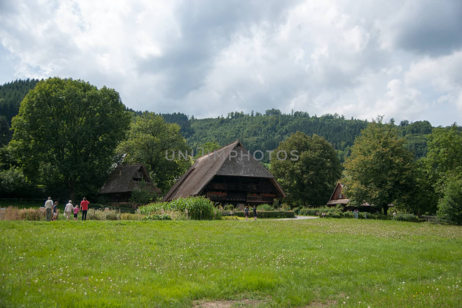 schwarzwald forest villages landscape in germany tourism