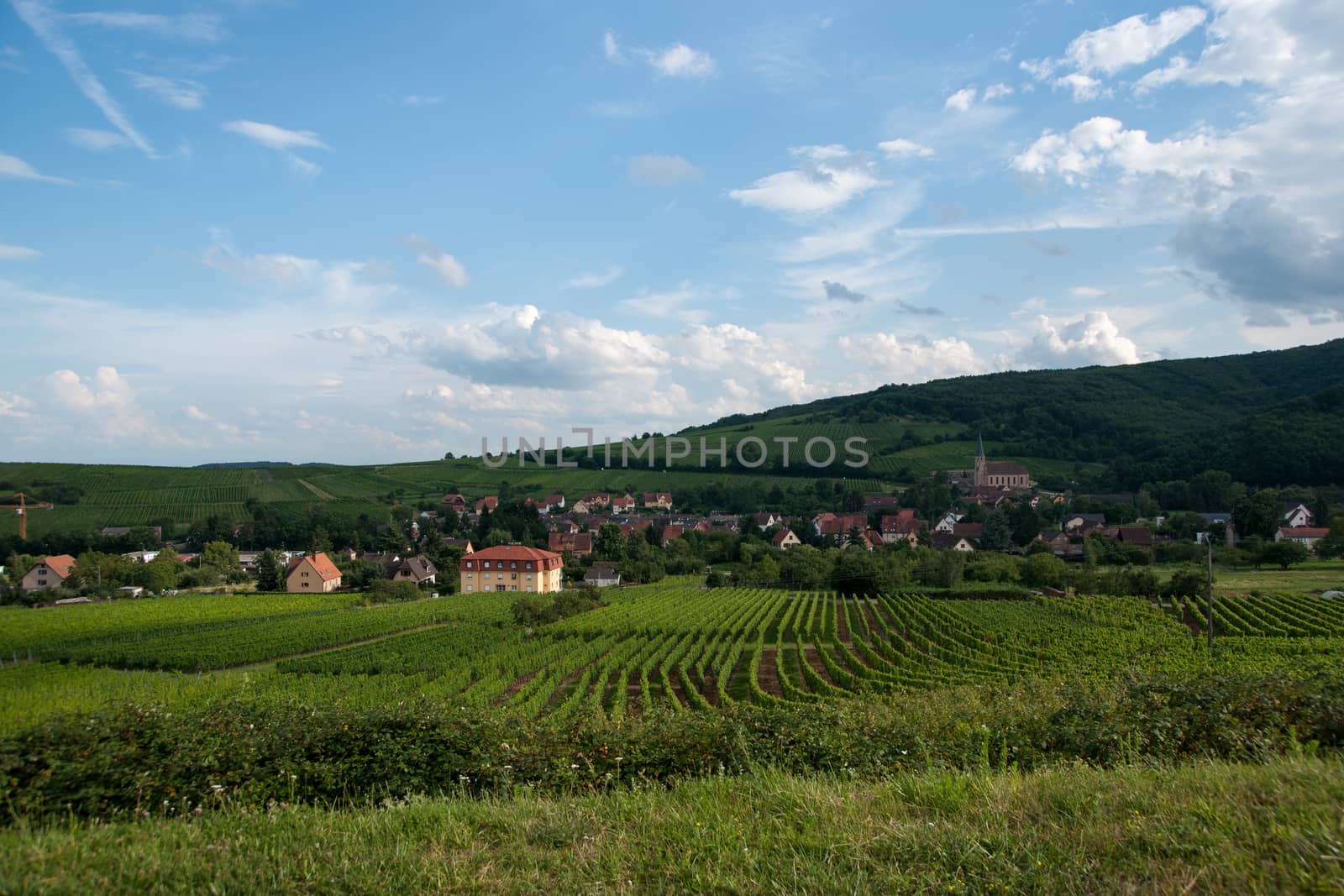 Hiking in Alsace with vinewyard views in France vacation