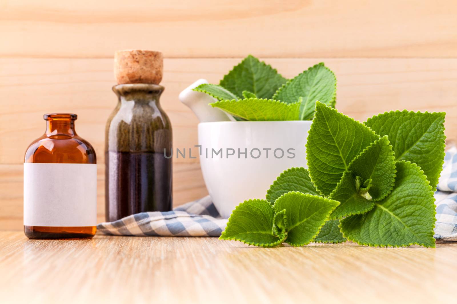 Country Borage,Indian Borage,Coleus amboinicus Lour with white mortar and essential extract oil on wooden background.