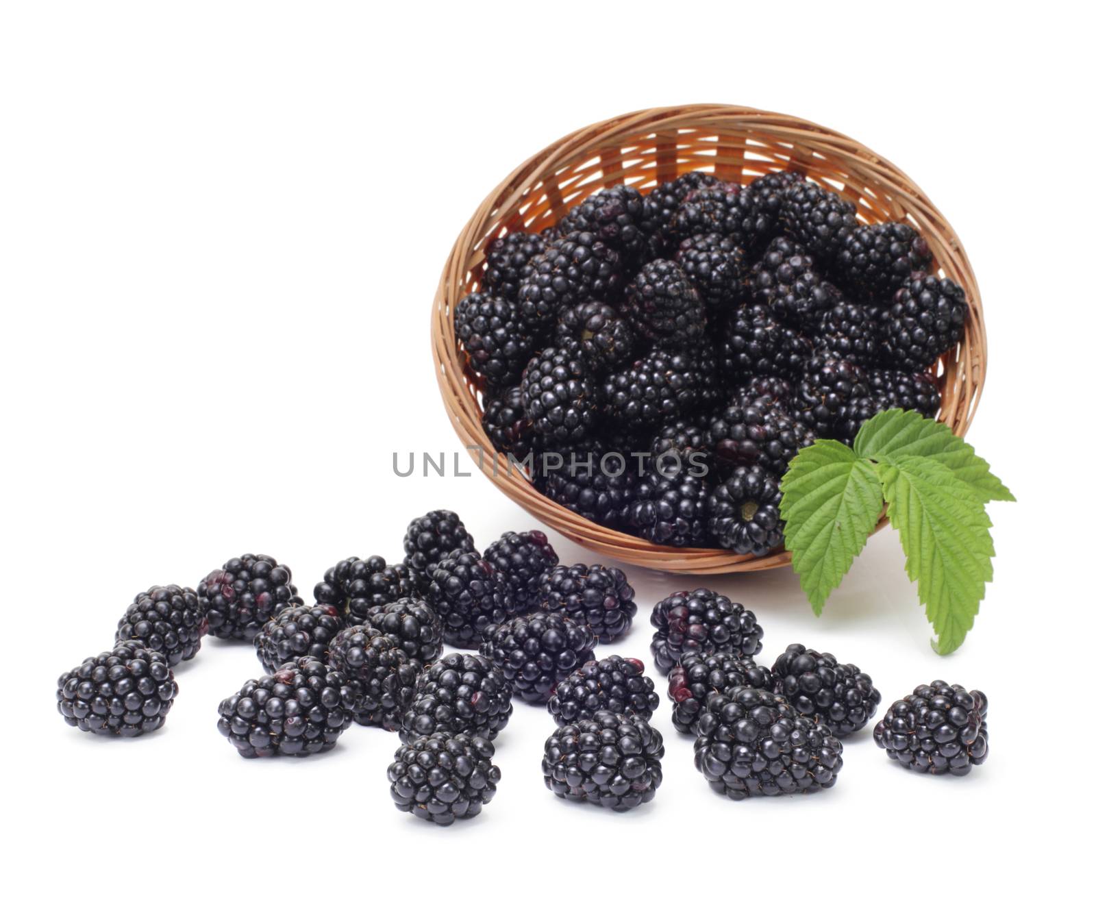 Fresh blackberry with leaf in basket by rudchenko