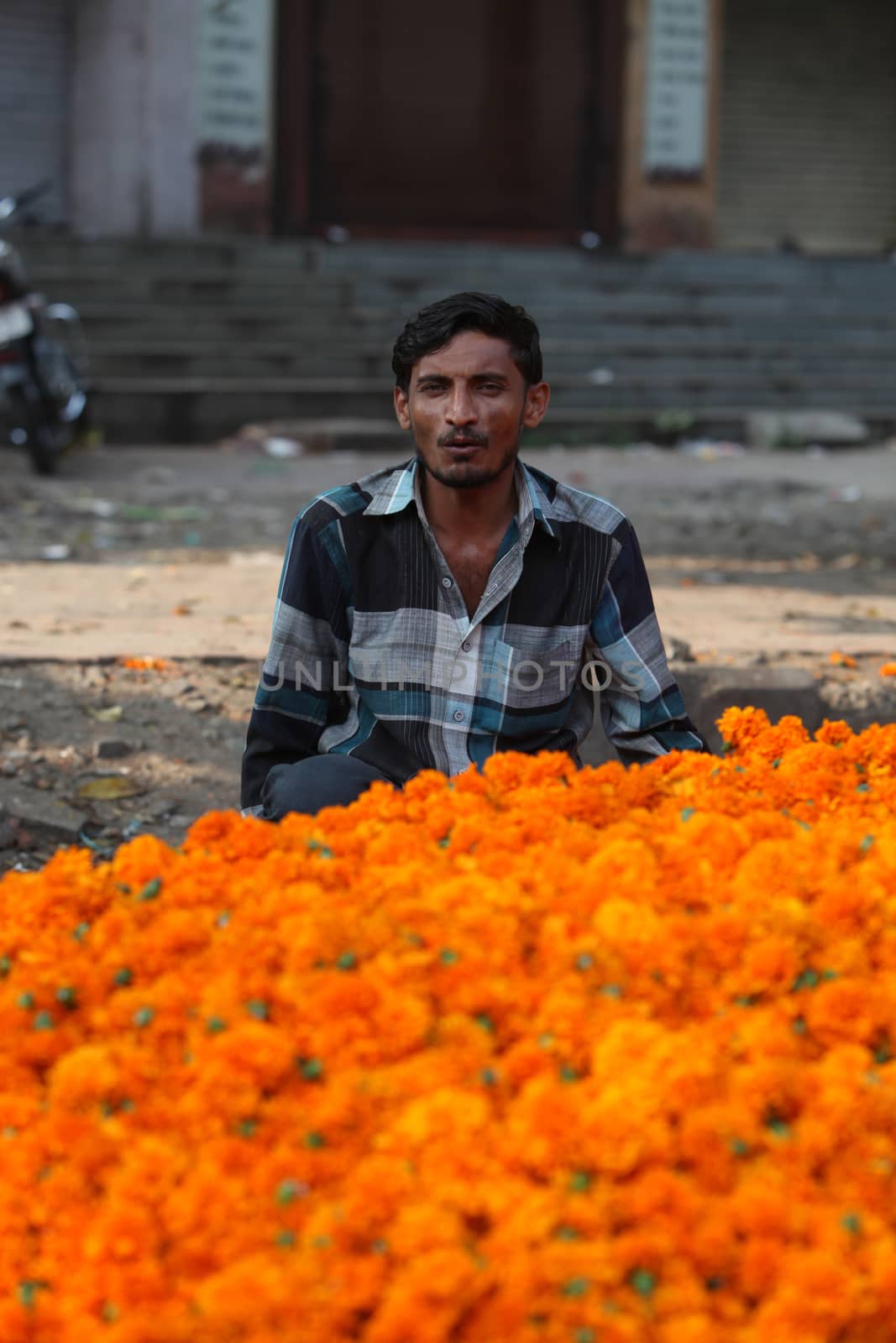 Pune, India - October 21, 2015: A flower seller with his marigold flowers  in India, on the eve of Dassera festival