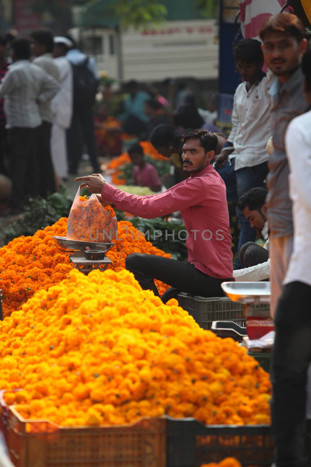 Pune, India - October 21, 2015: A seller weighing a bag of marigold flowers before selling it in his streetside shop, on the eve of Dassera festival in India