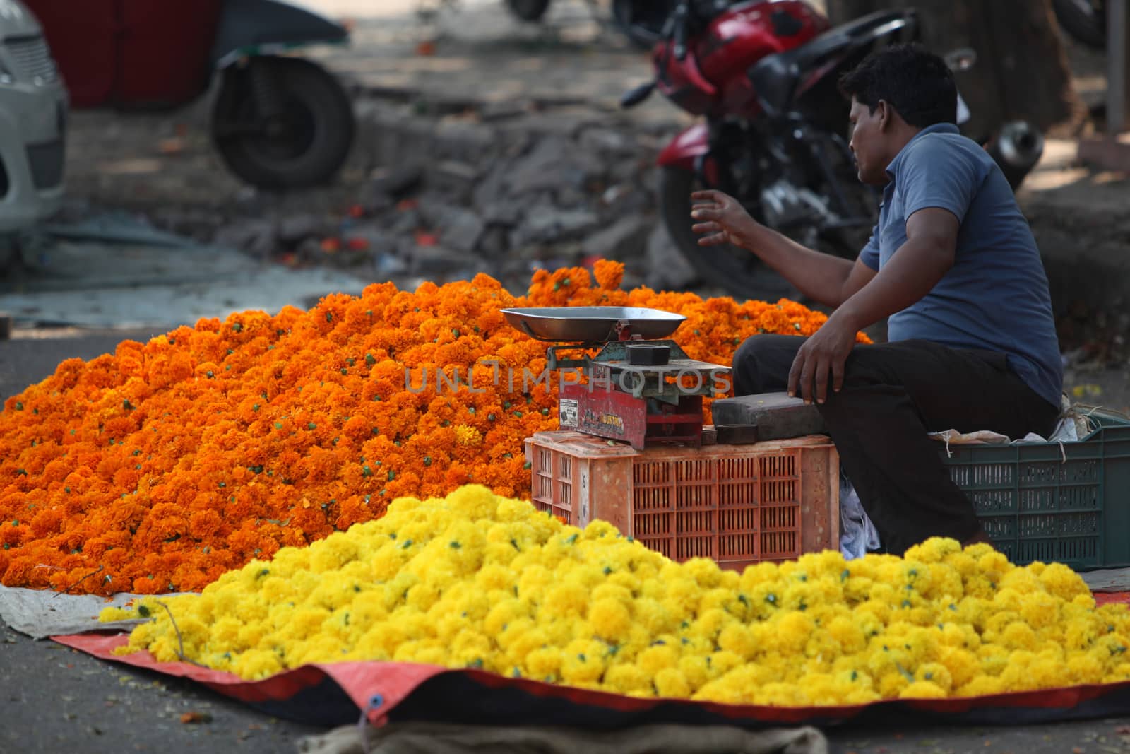 Pune, India - October 21, 2015: Flower Shop by thefinalmiracle