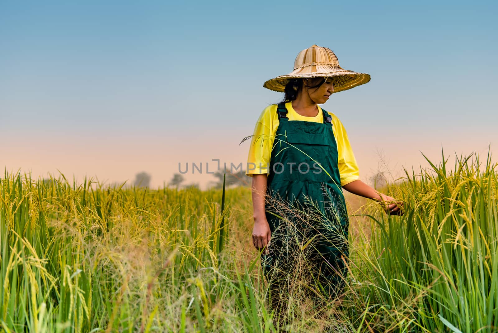 Farmer woman  by p.studio66