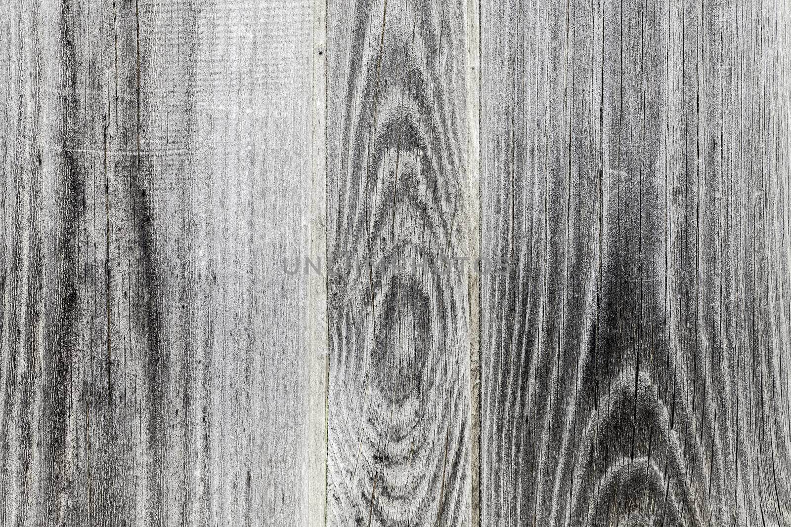 The Texture of grunge wood background. Closeup