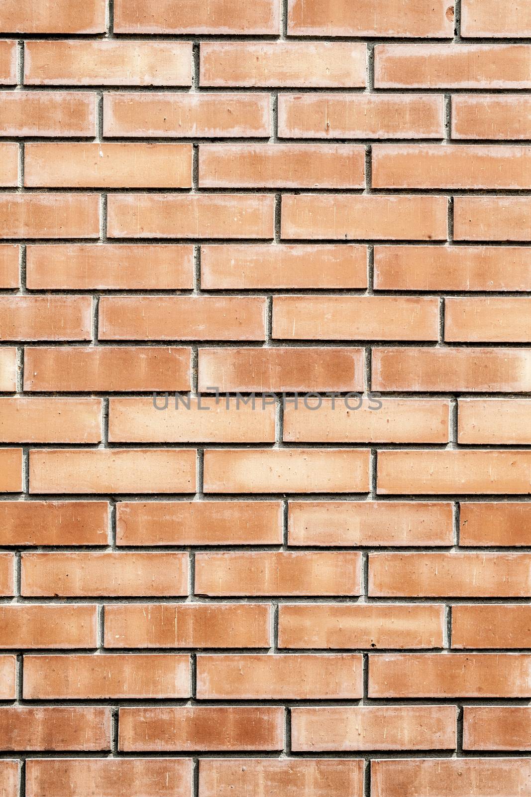 The old grunge red brick wall background