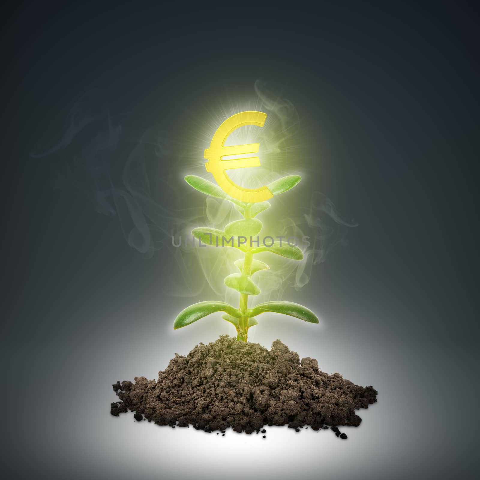 Ground with green plant and gold euro sign on abstract background