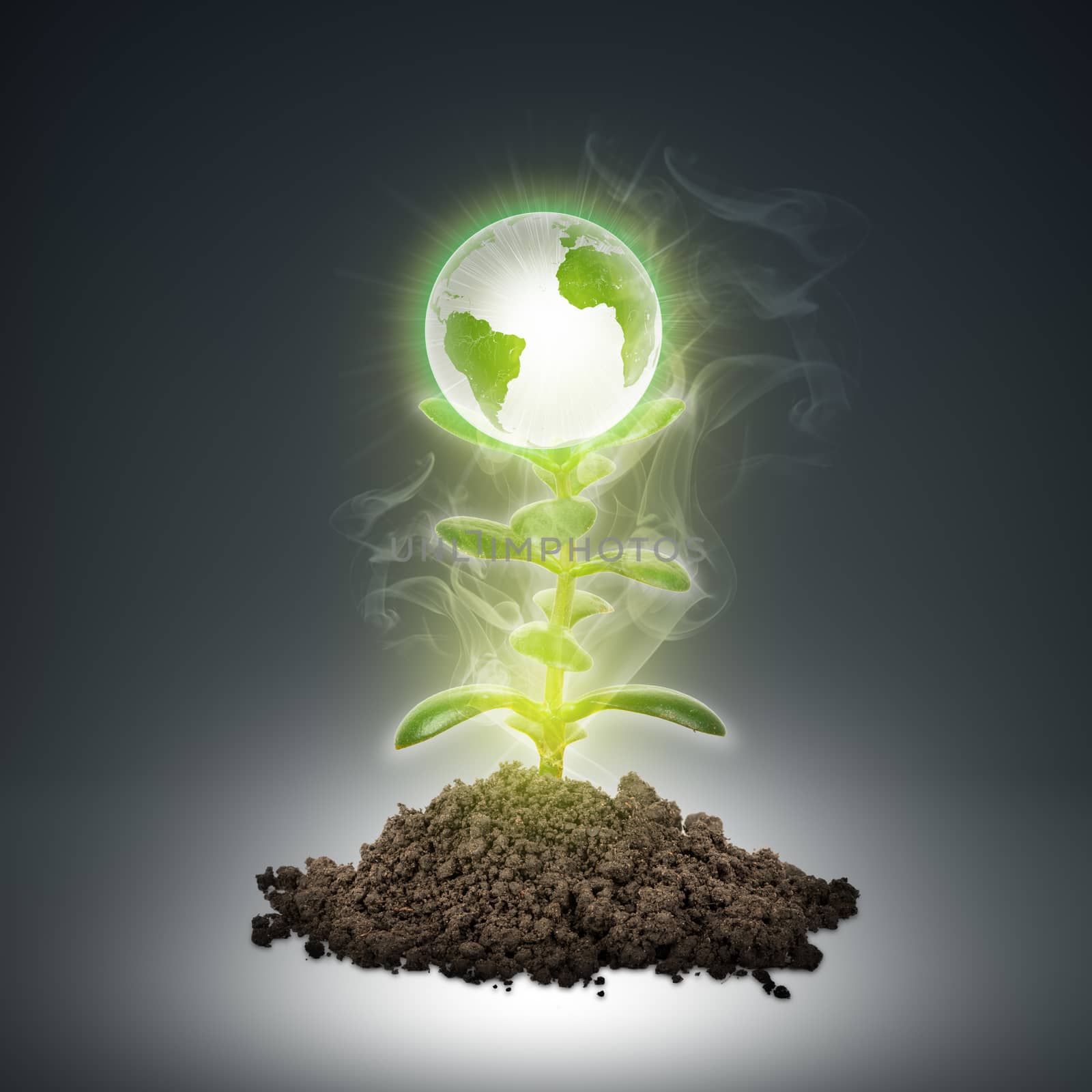Ground with green plant and earth globe on abstract background
