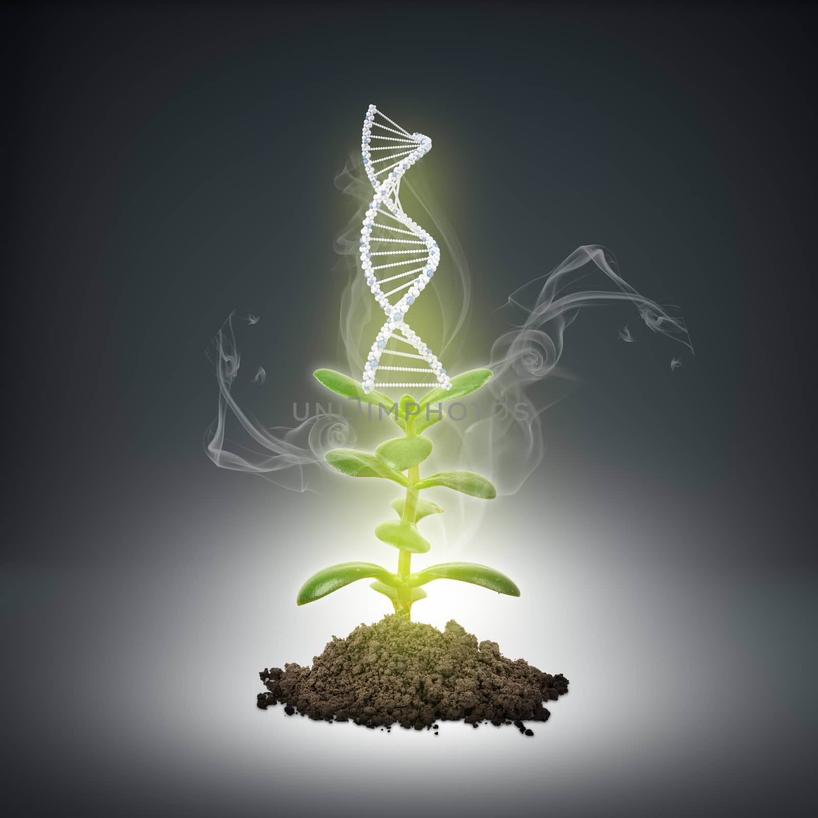 Ground with green plant and humans DNA sign on abstract background