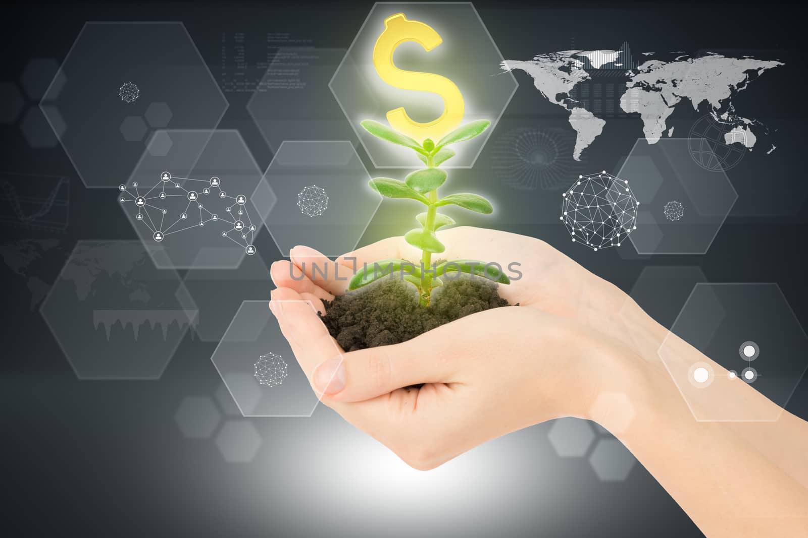 Womans hands holding plant with ground and dollar sign on abstract background
