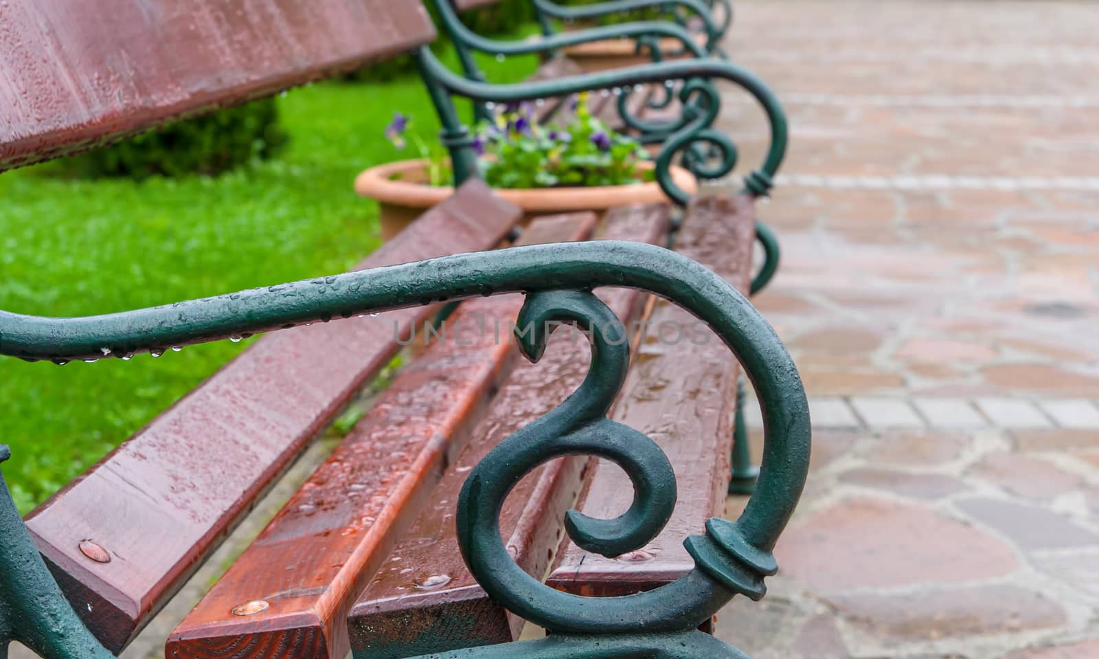 Stylish bench in summer park