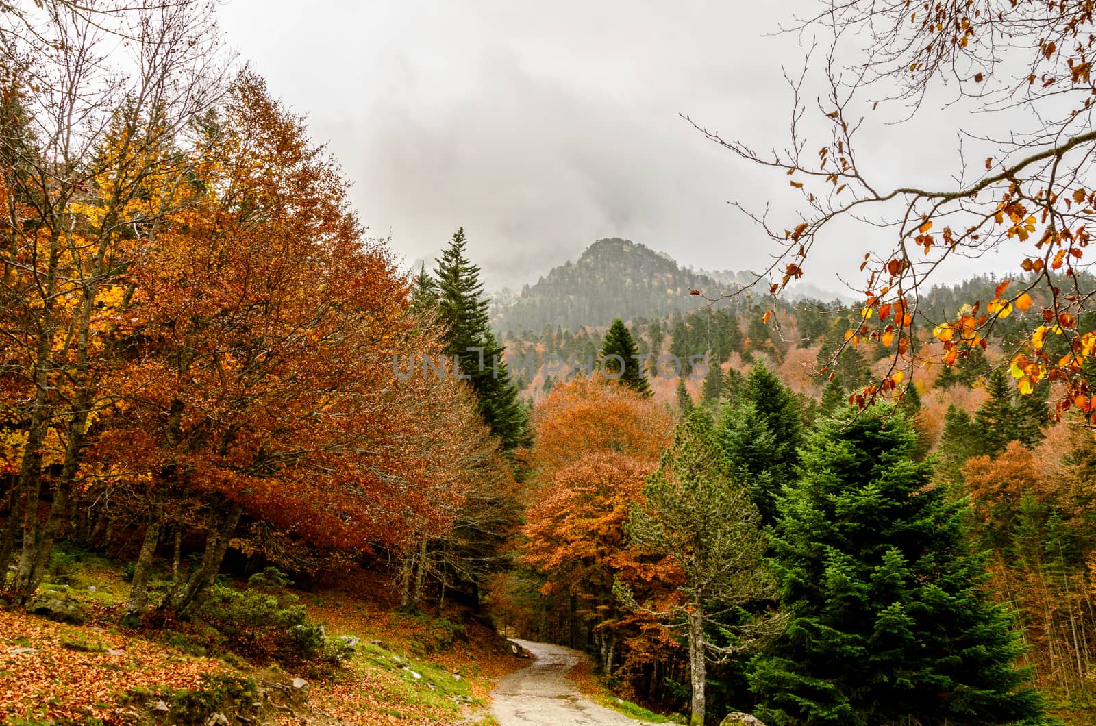 This is an outstanding mountain walk around the seven Ayous Lakes at the head of the Ossau Valley, visiting the Refuge d'Ayous. The views of the Pic du Midi d'Ossau and the surrounding area are simply wonderful. Wildlife abounds with deer, 