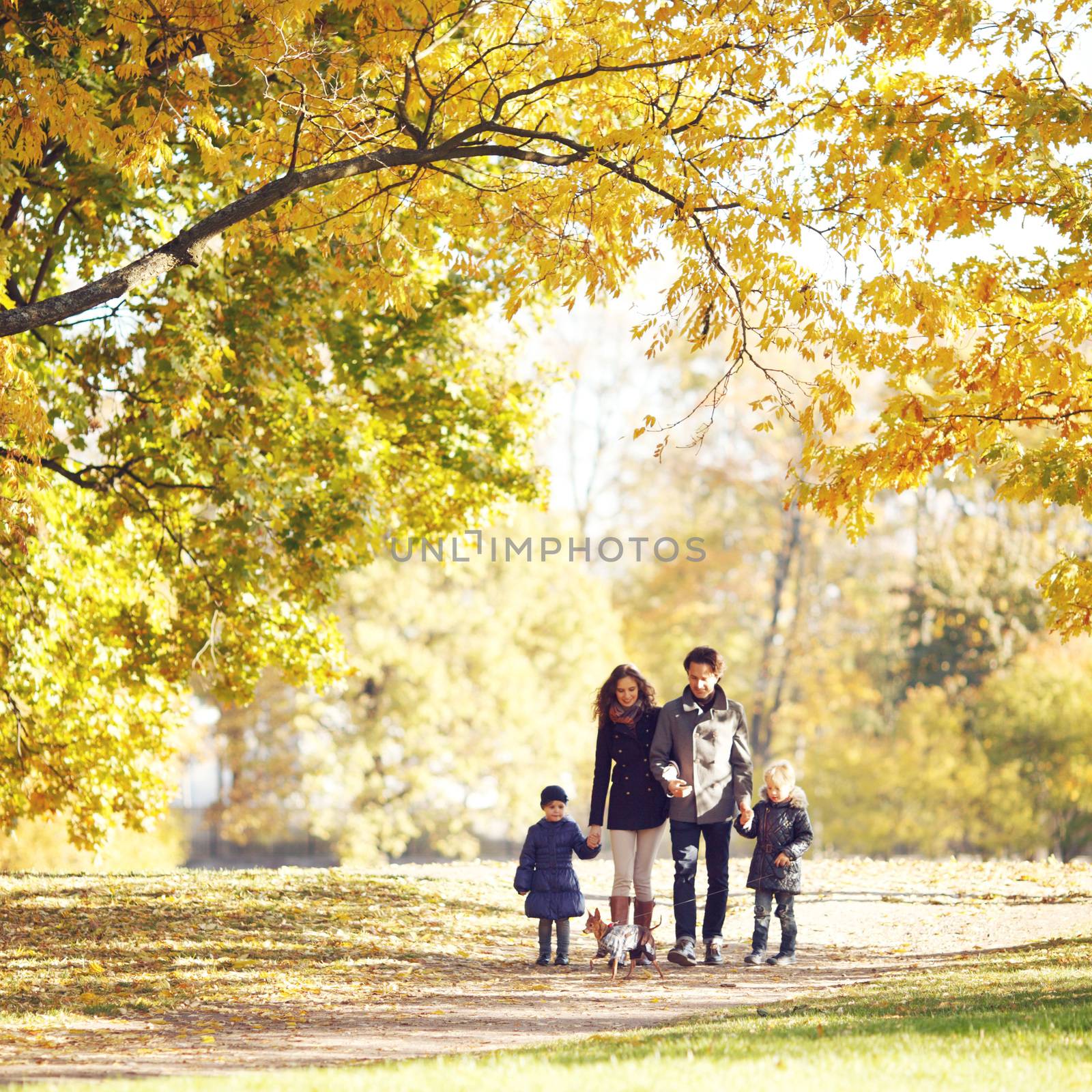 Portrait of family with children and dog walking in autumn park