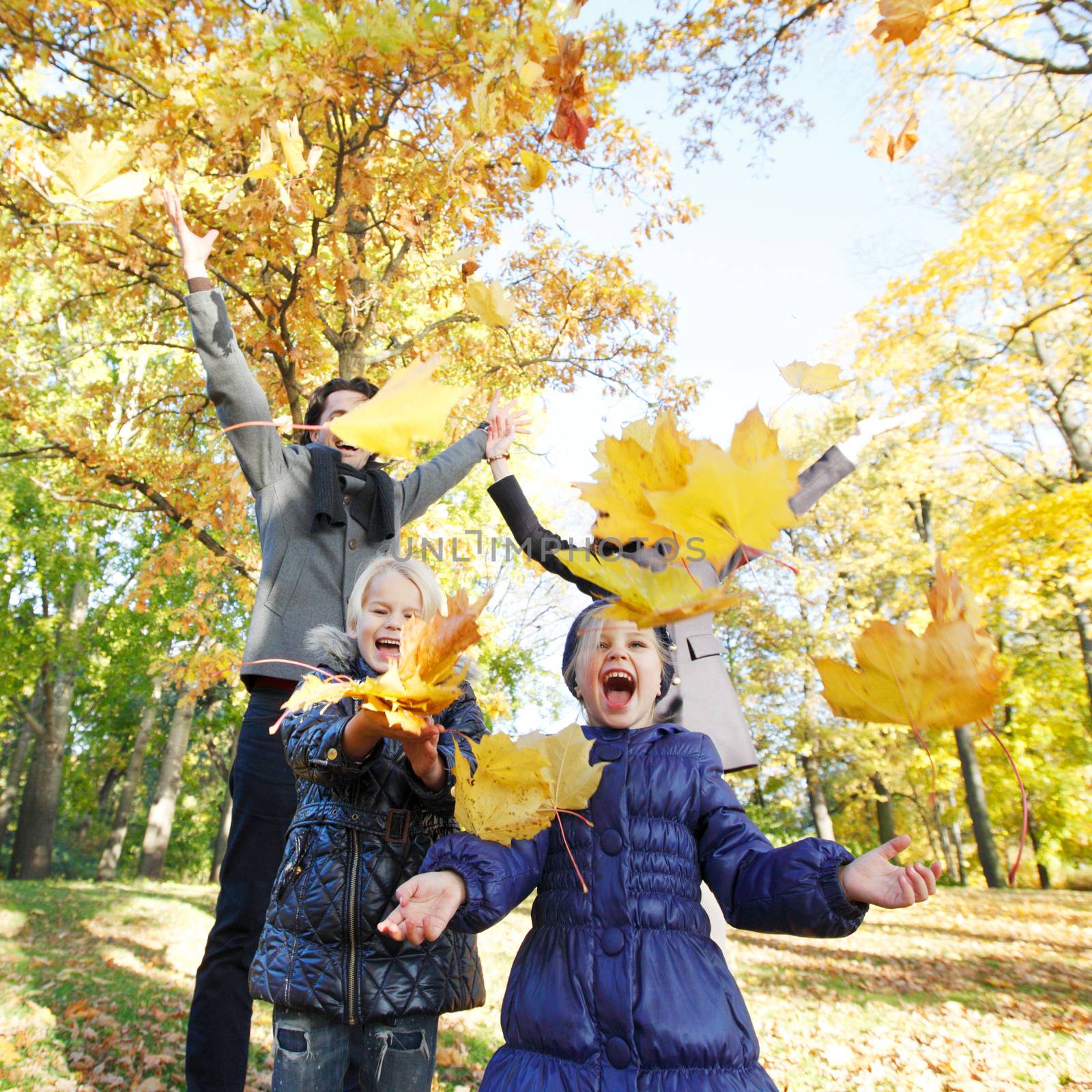 Family playing with autumn leaves  by ALotOfPeople