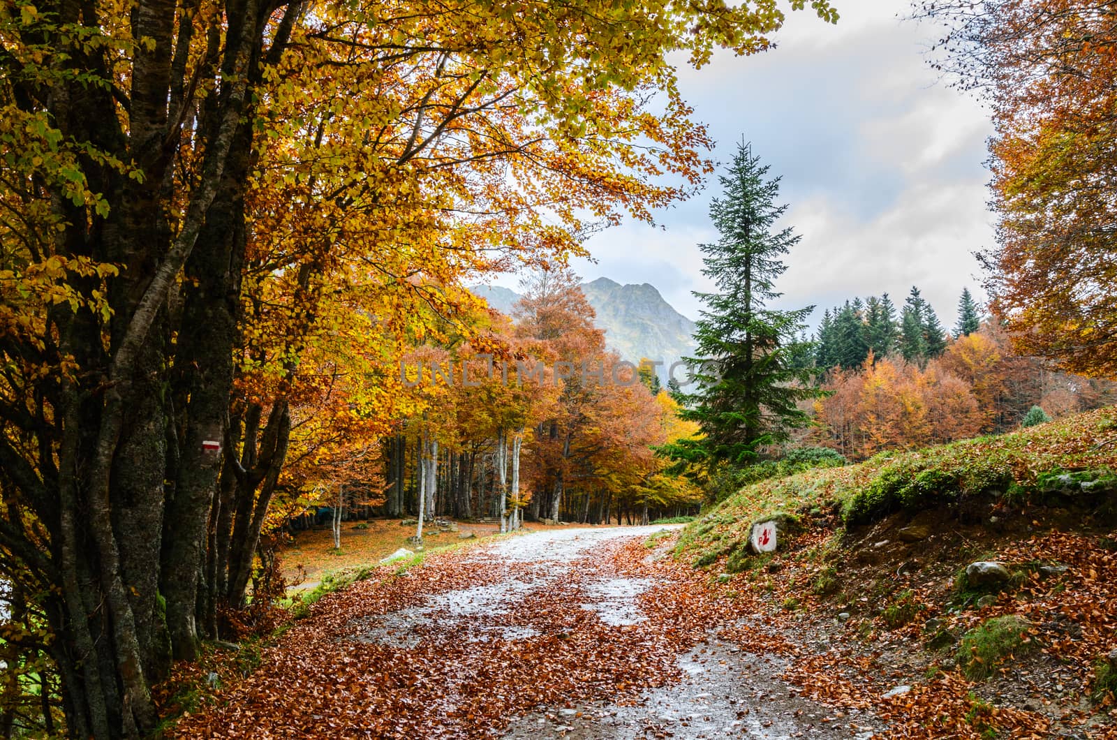 This is an outstanding mountain walk around the seven Ayous Lakes at the head of the Ossau Valley, visiting the Refuge d'Ayous. The views of the Pic du Midi d'Ossau and the surrounding area are simply wonderful. Wildlife abounds with deer, 