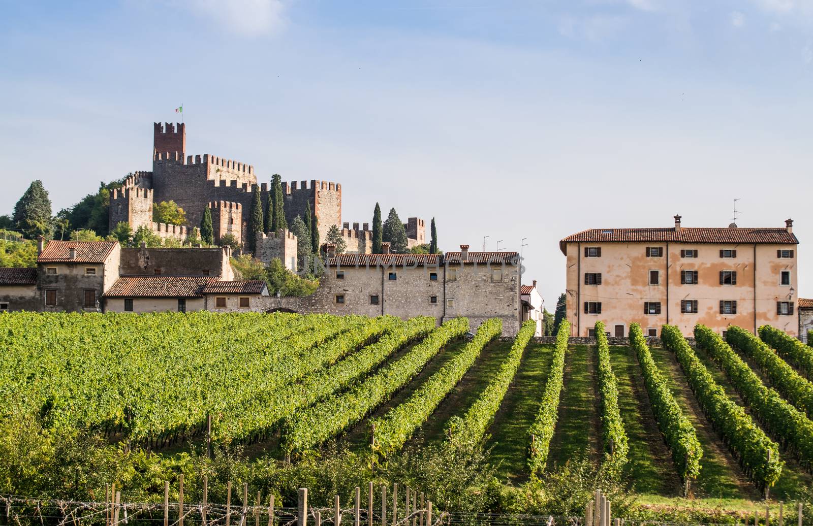 view of Soave (Italy) surrounded by vineyards that produce one of the most appreciated Italian white wines, and its famous medieval castle.