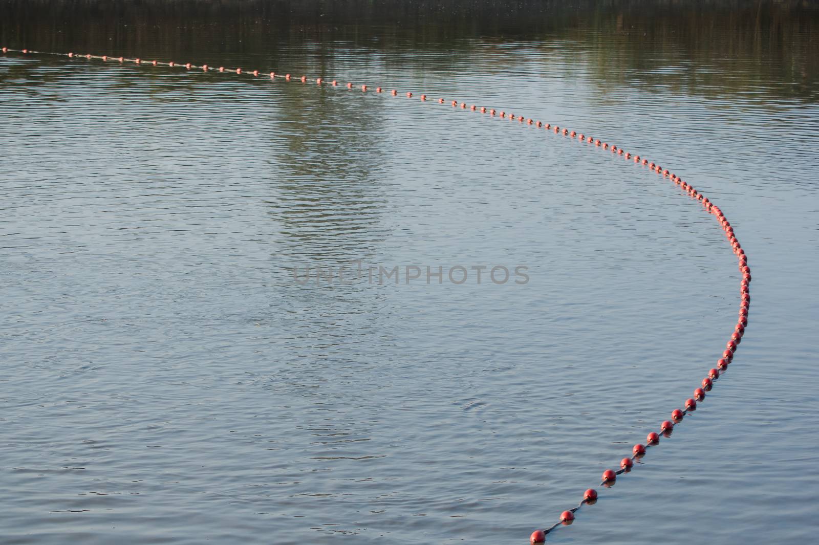 The fishermen's nets would be the carp in the lake.