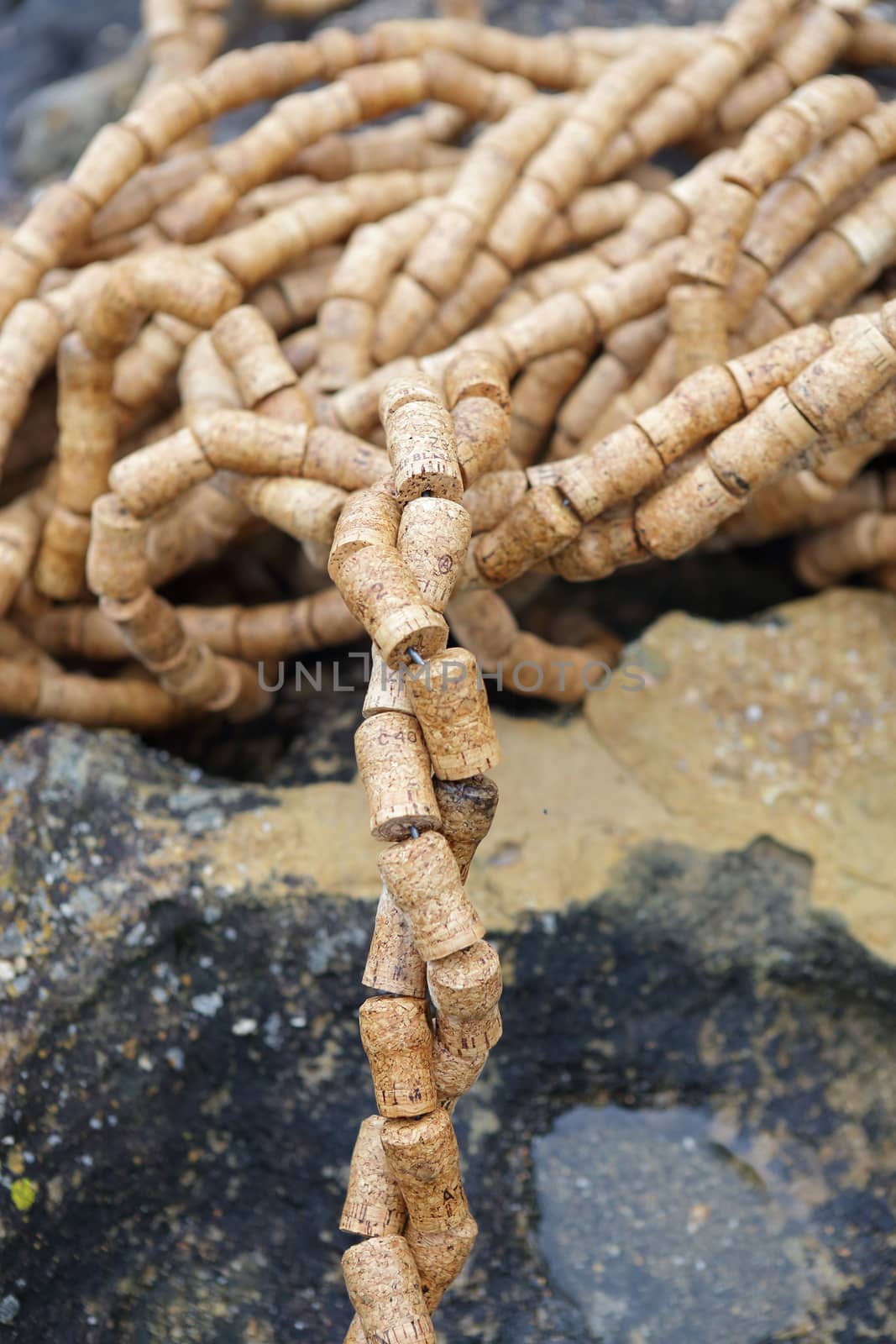BONDI, AUSTRALIA - OCTOBER 22, 2015;  Annual Sculpture by the Sea free public event.  Exhibit titled Twist of Fate by Jane Gillings, a sculpural piece made entirely of used champagne corks.